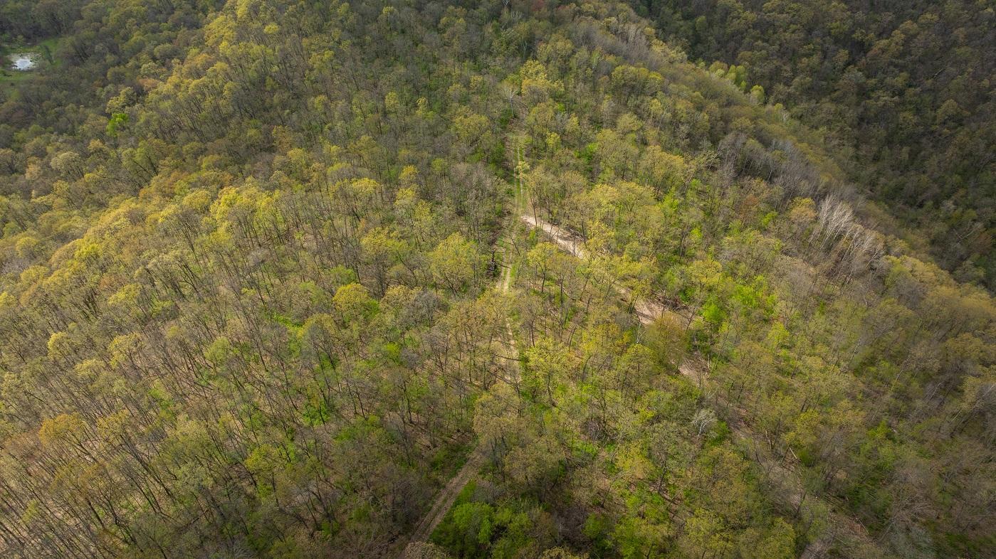 0 Yaeger Valley Road Property Photo 15