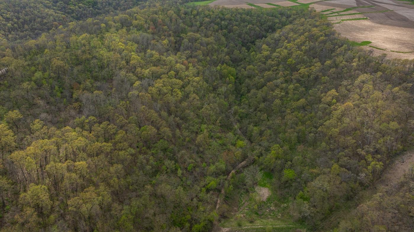 0 Yaeger Valley Road Property Photo 32