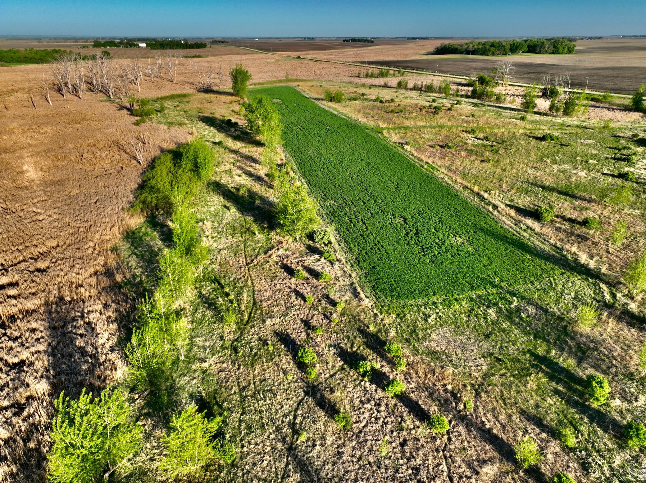 Tbd County Highway 14 Property Photo 3