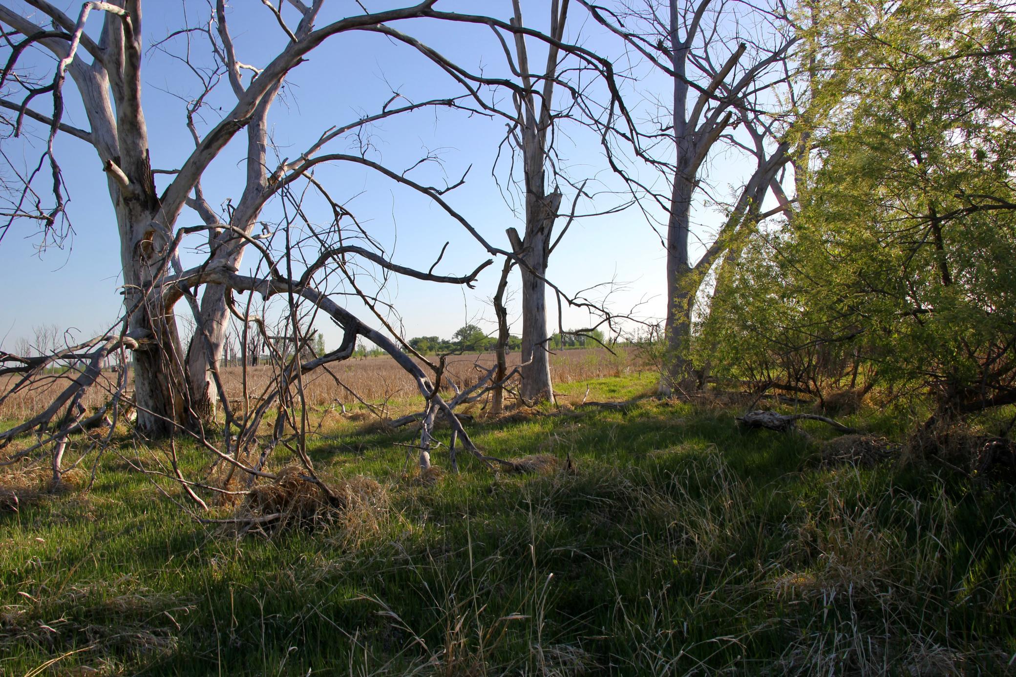 Tbd County Highway 14 Property Photo 4