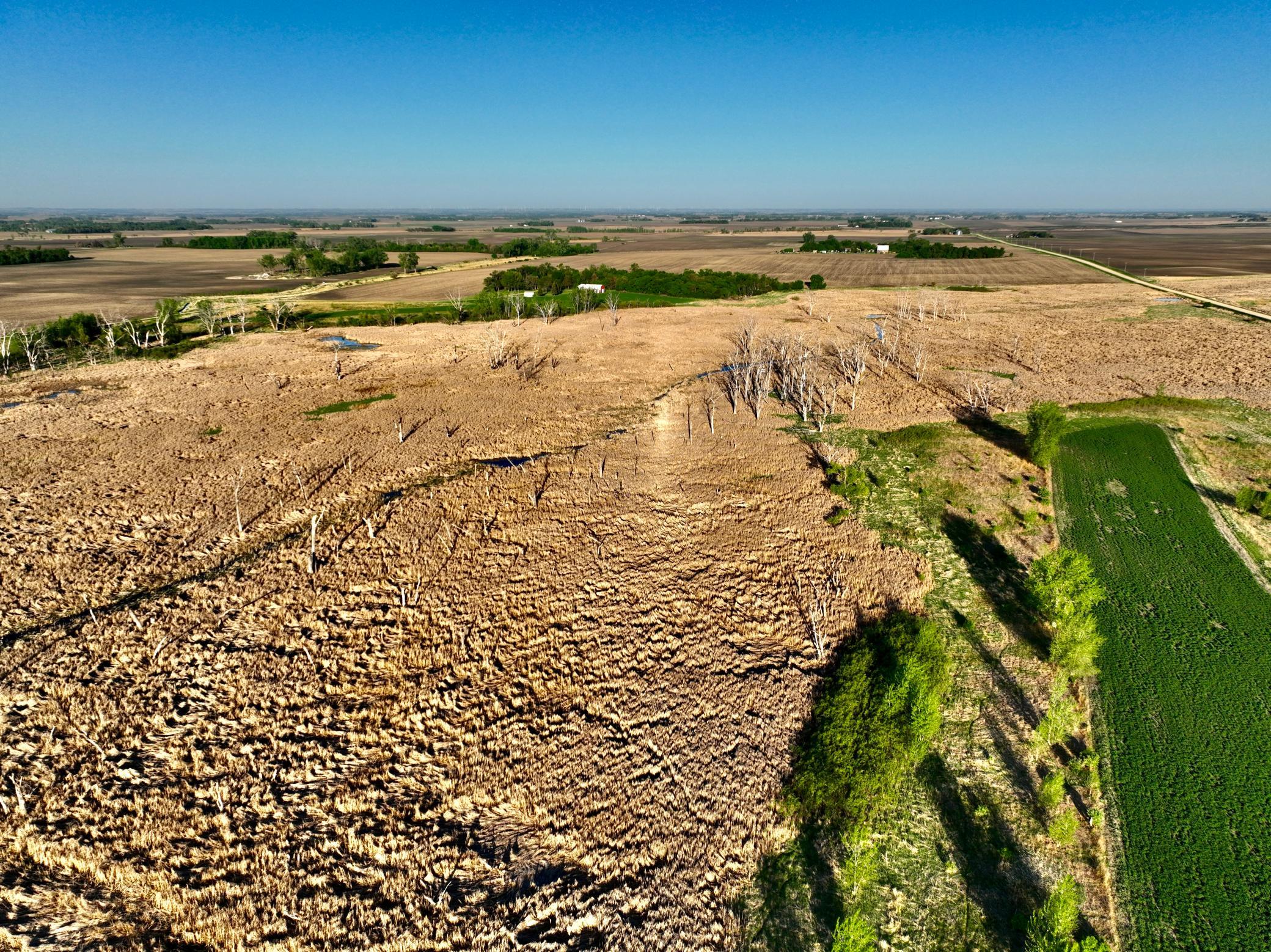 Tbd County Highway 14 Property Photo 6