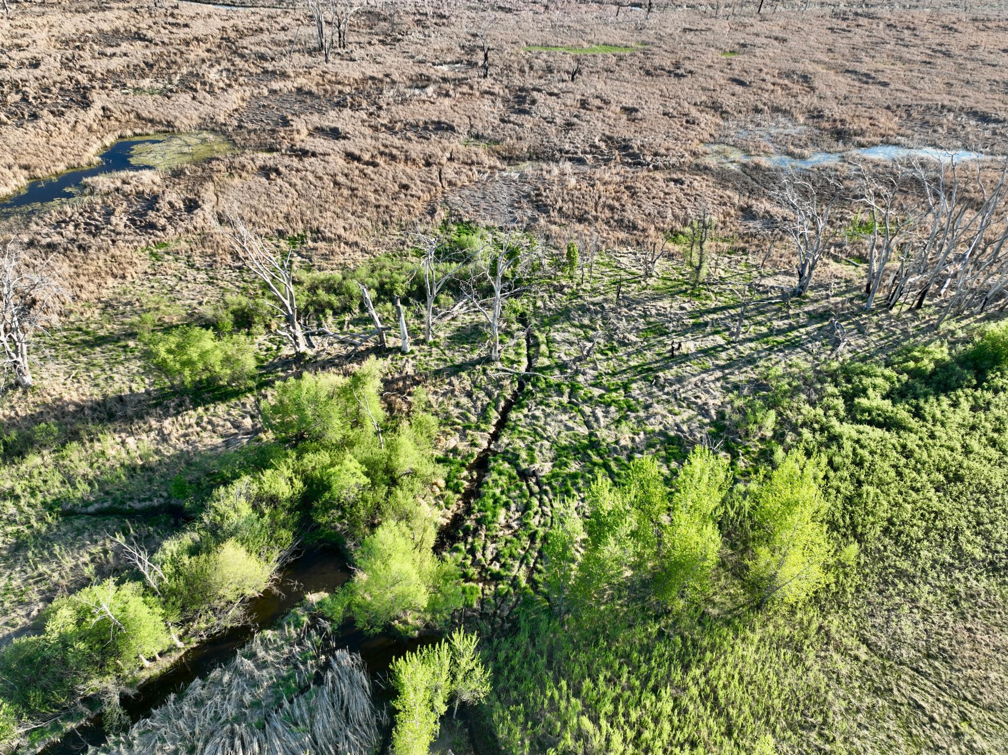 Tbd County Highway 14 Property Photo 10