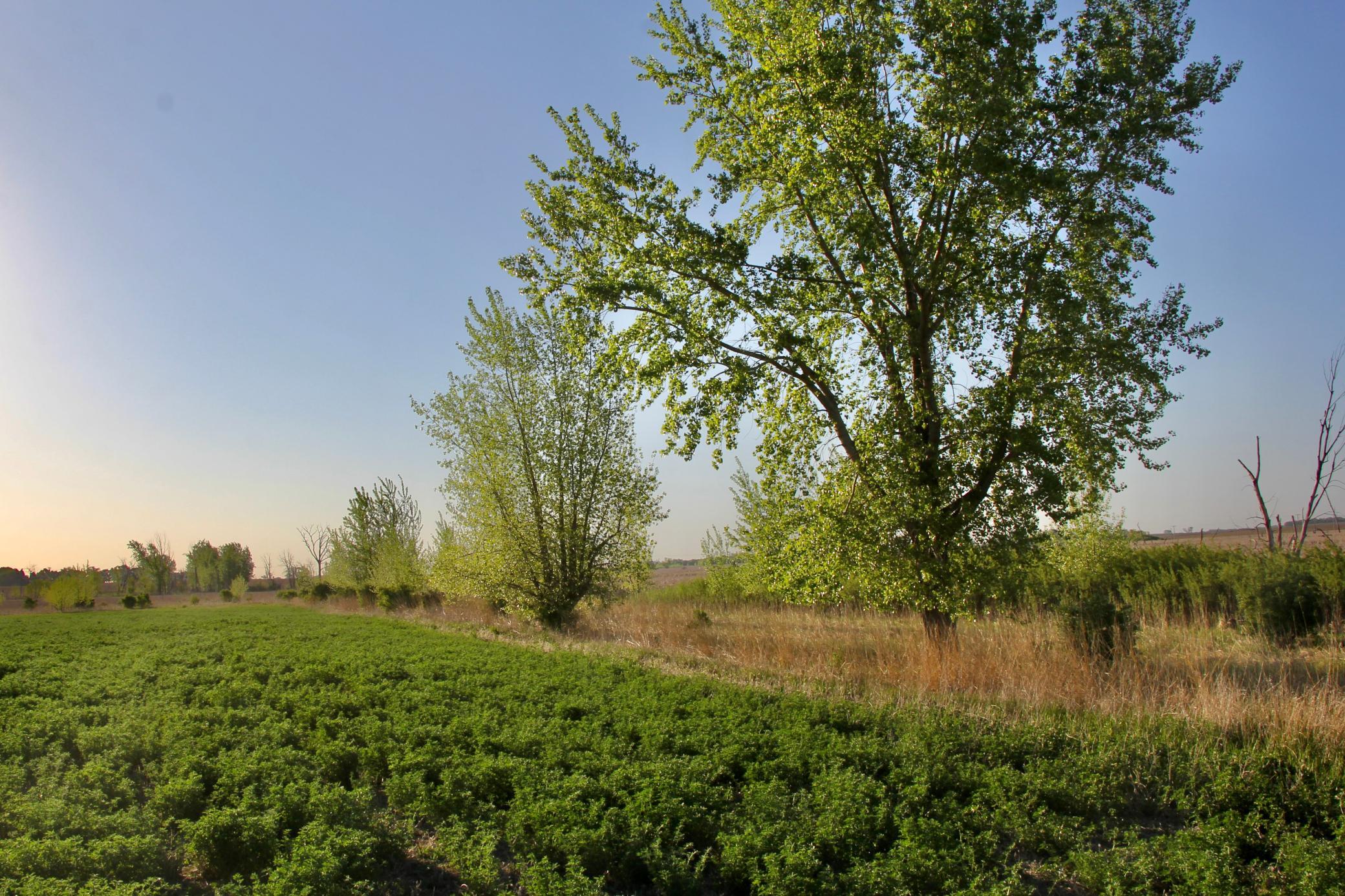 Tbd County Highway 14 Property Photo 11