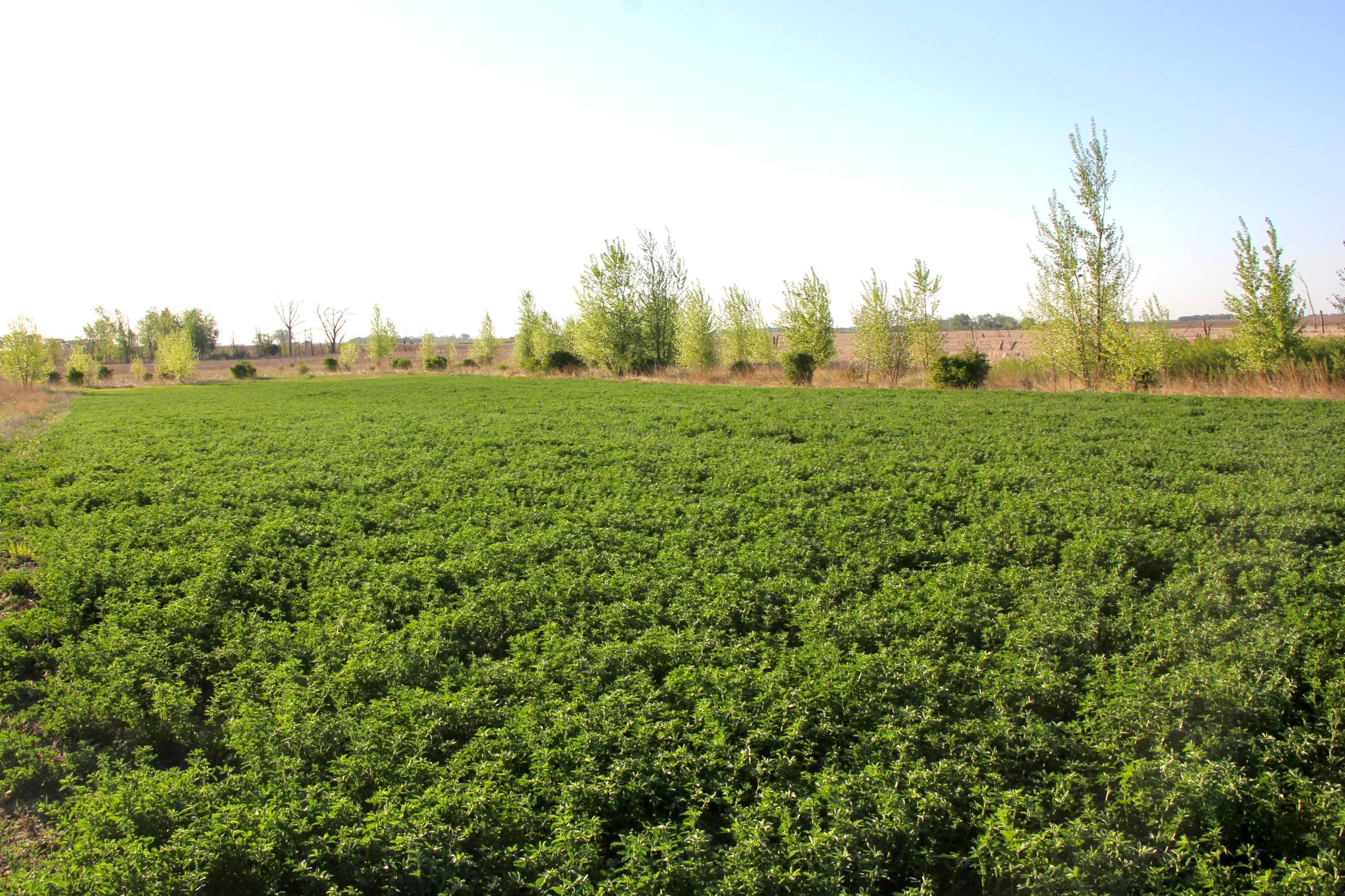 Tbd County Highway 14 Property Photo 12