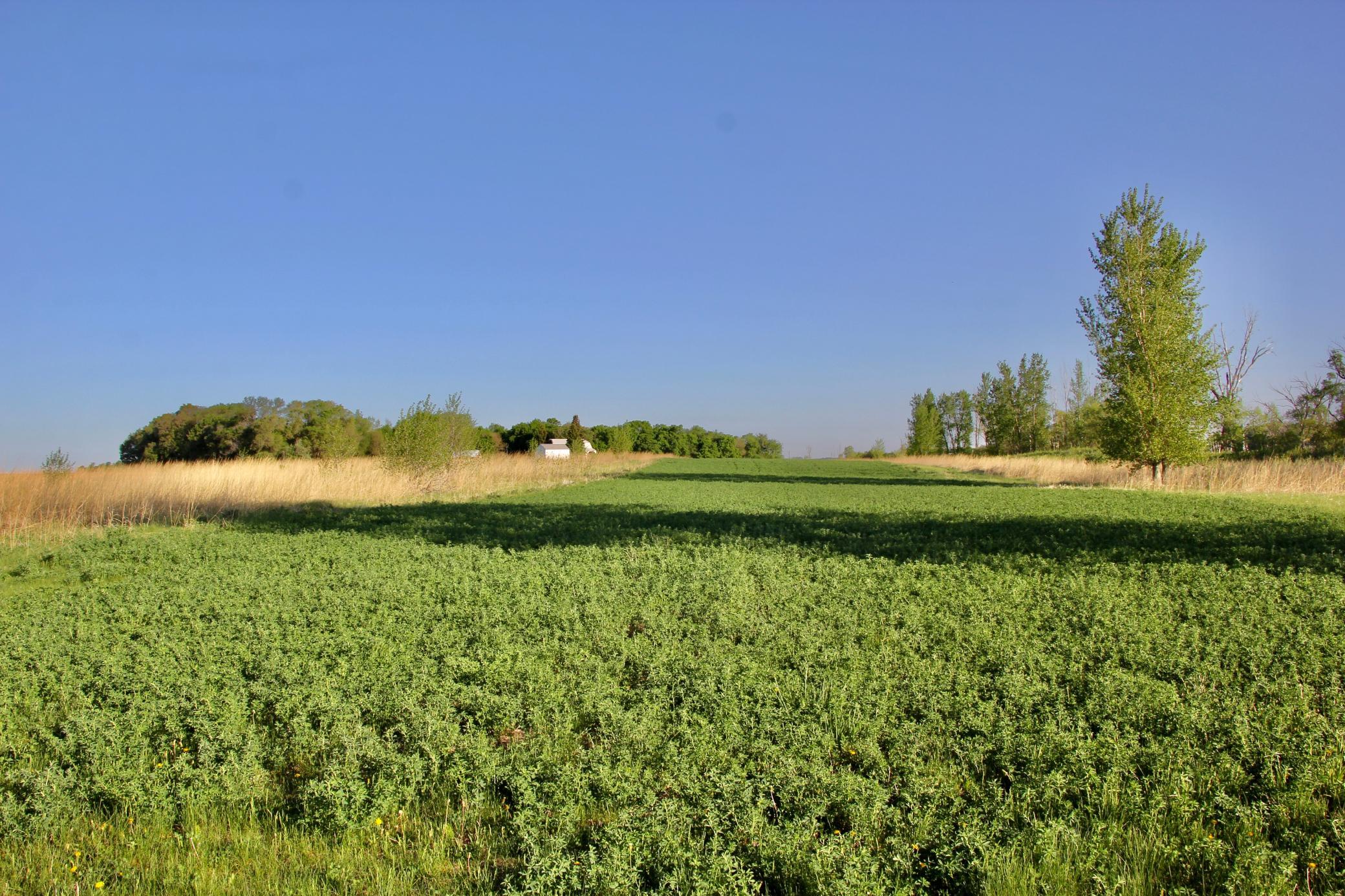 Tbd County Highway 14 Property Photo 13