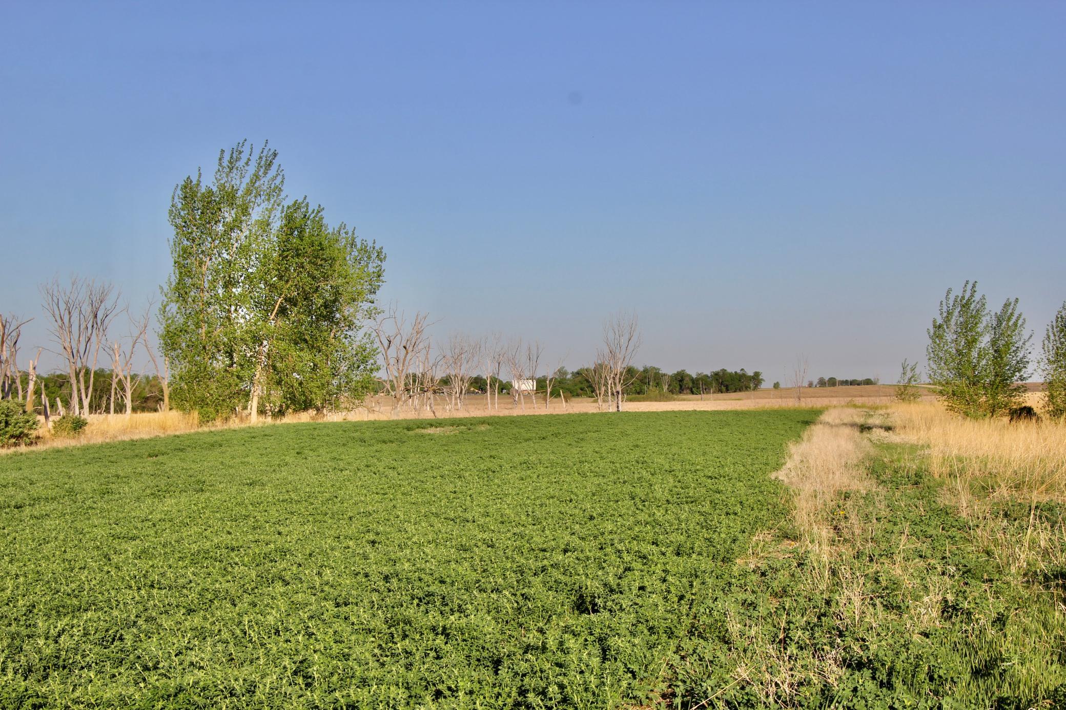 Tbd County Highway 14 Property Photo 15