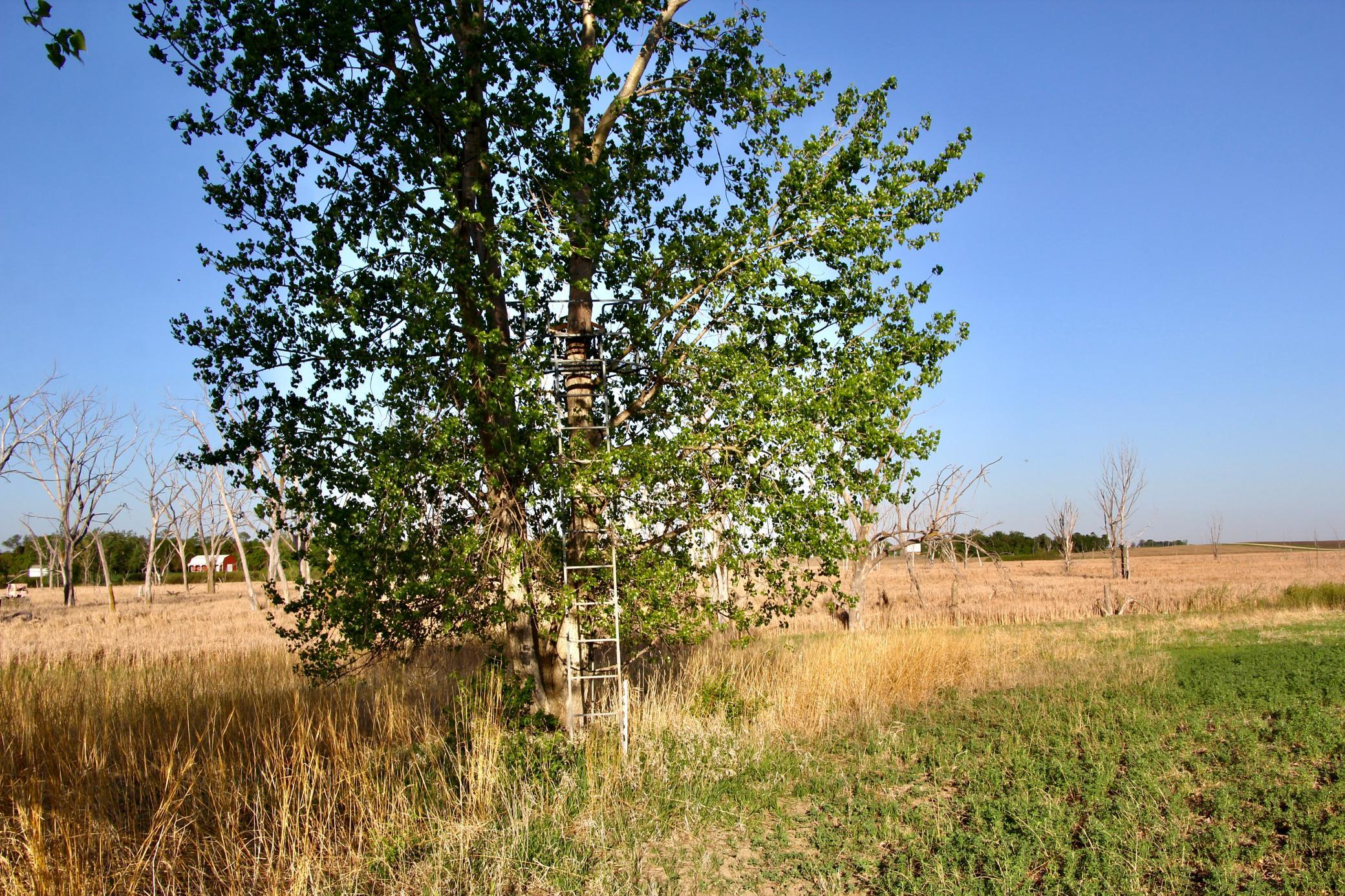 Tbd County Highway 14 Property Photo 16