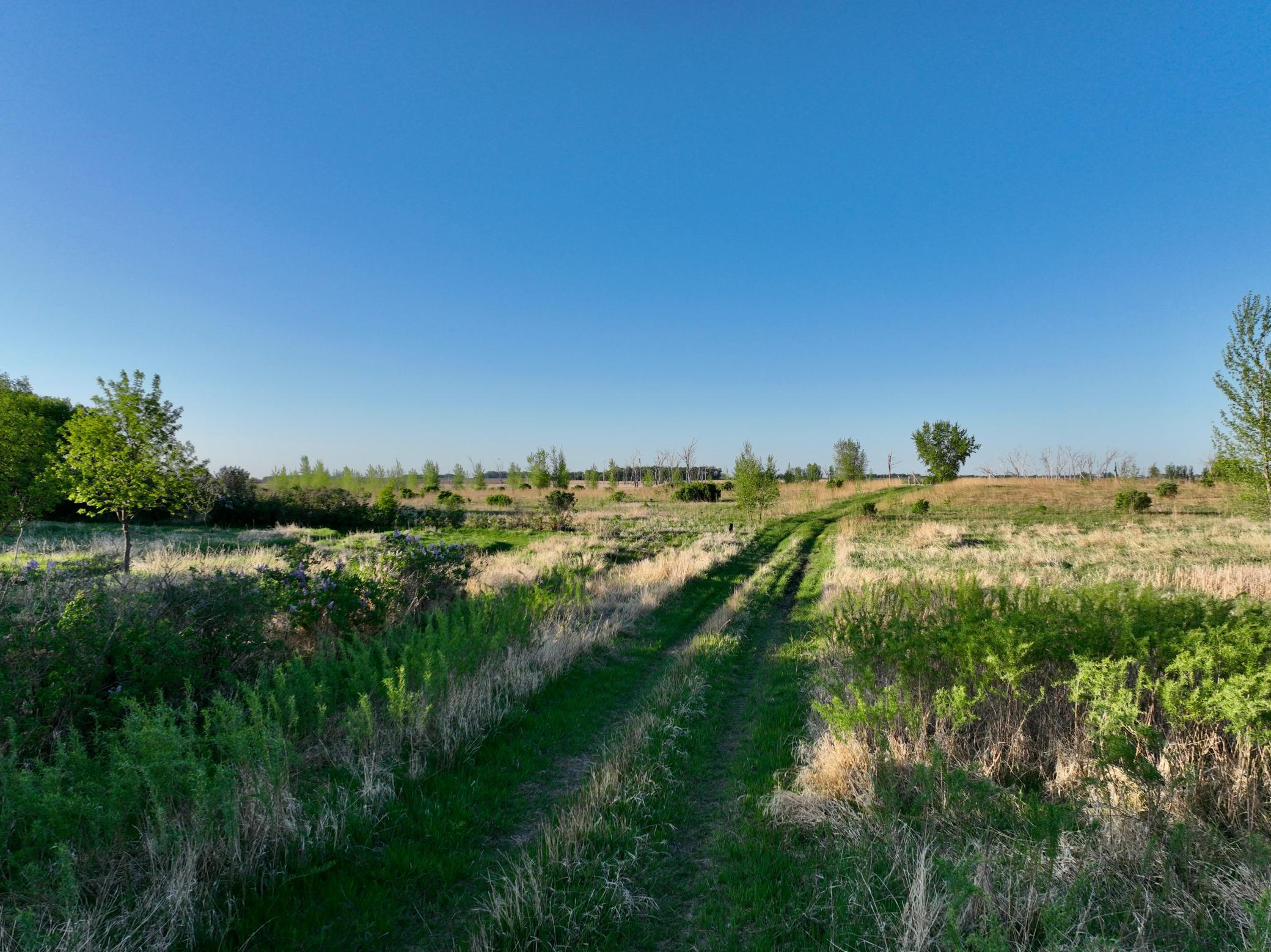 Tbd County Highway 14 Property Photo 17