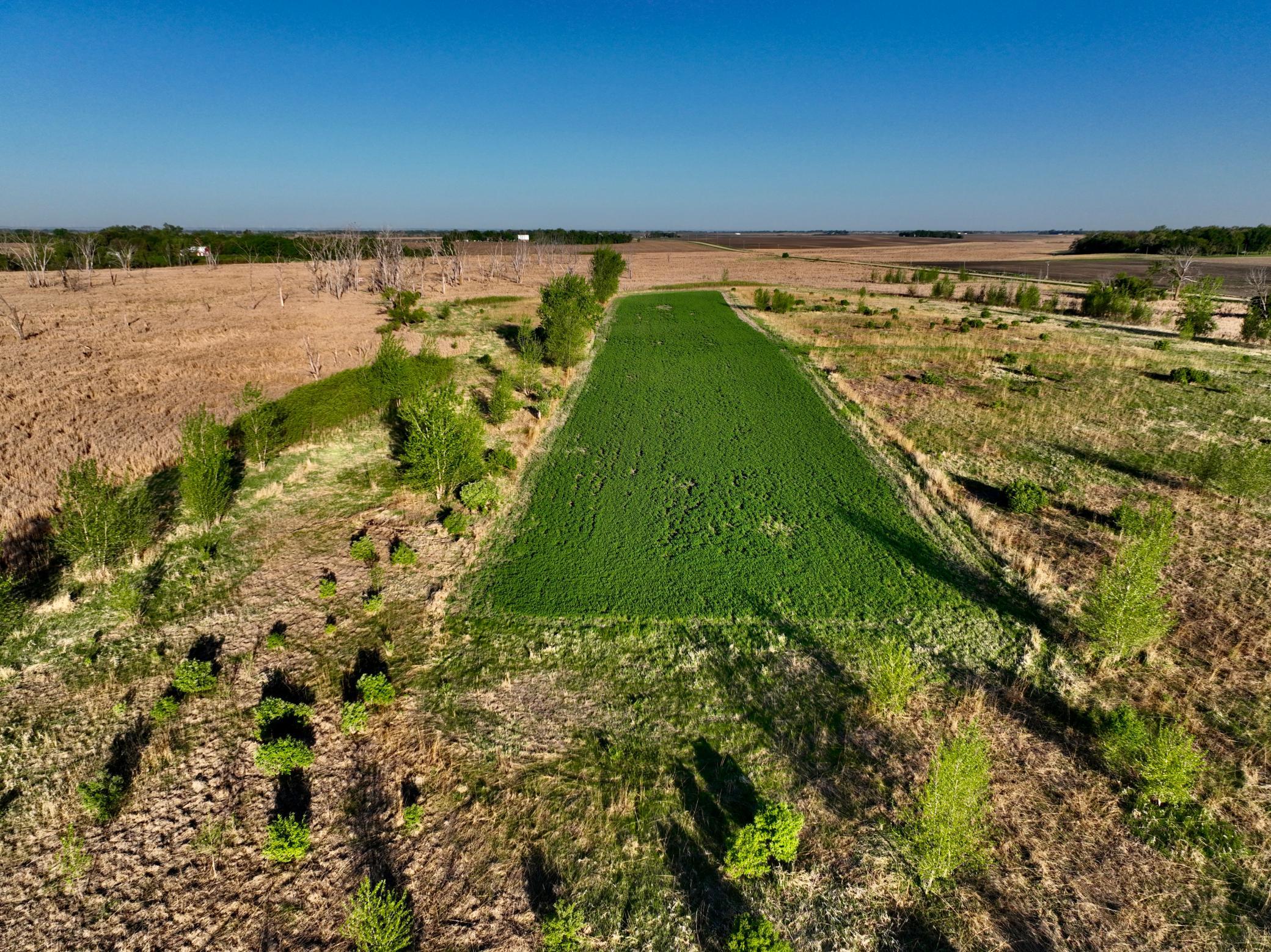 Tbd County Highway 14 Property Photo 18