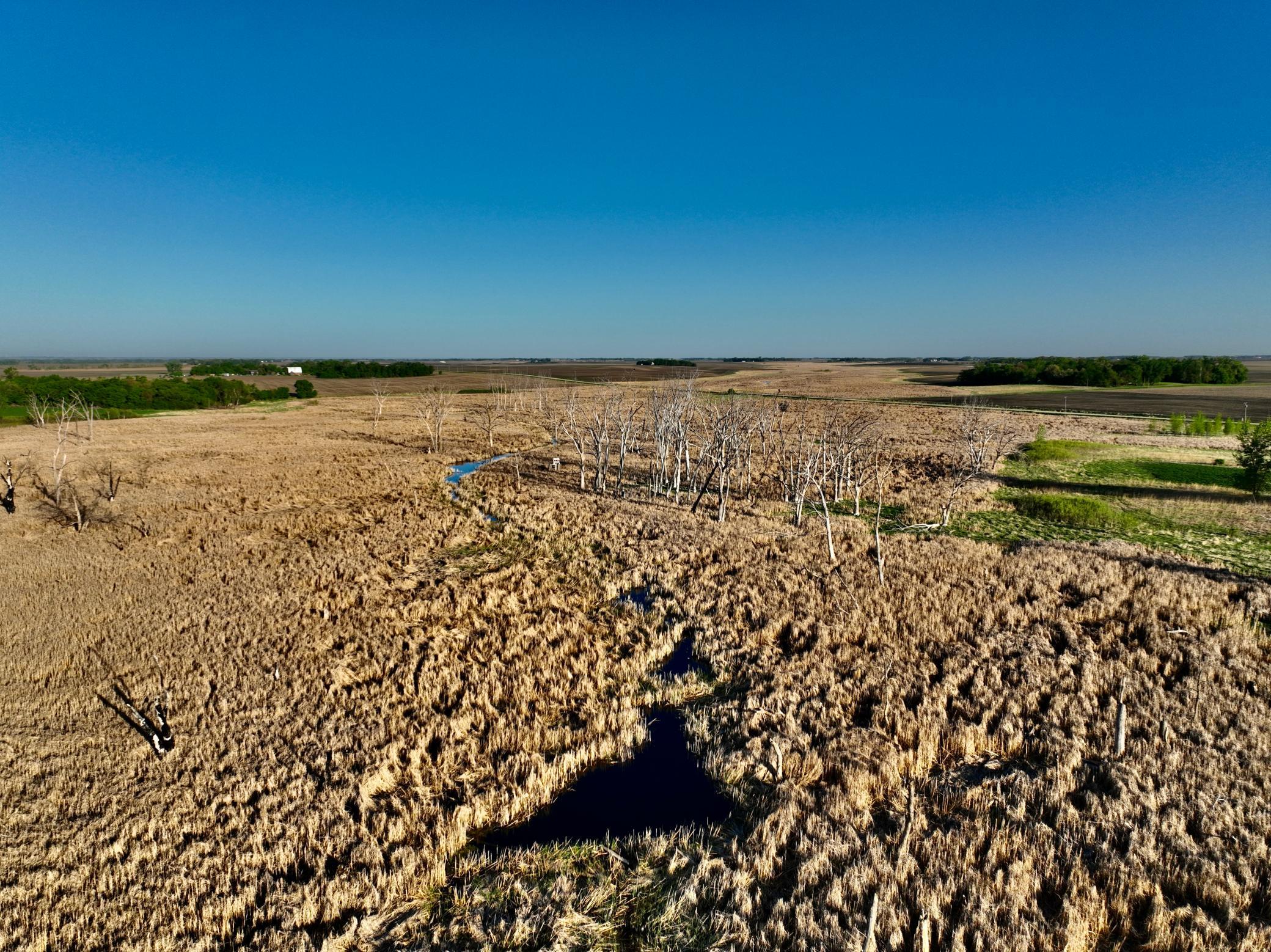 Tbd County Highway 14 Property Photo 19