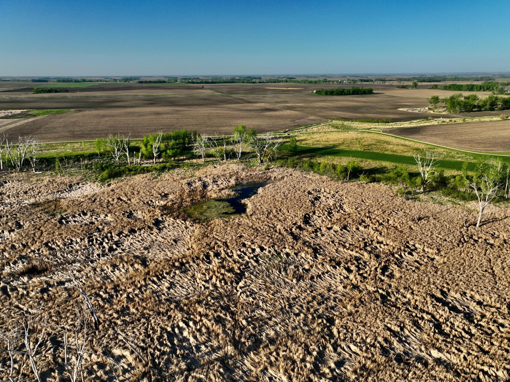 Tbd County Highway 14 Property Photo 20