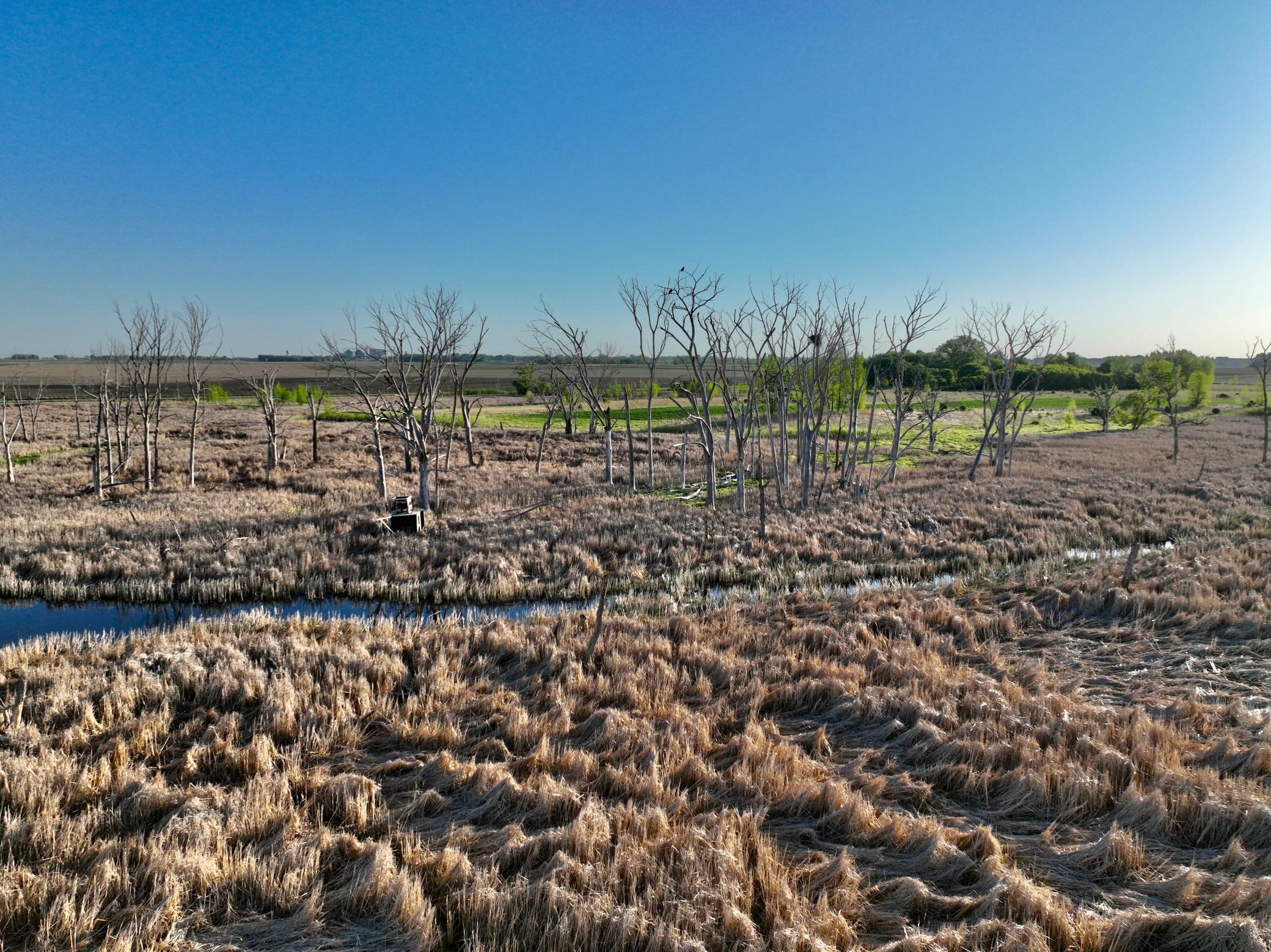 Tbd County Highway 14 Property Photo 27
