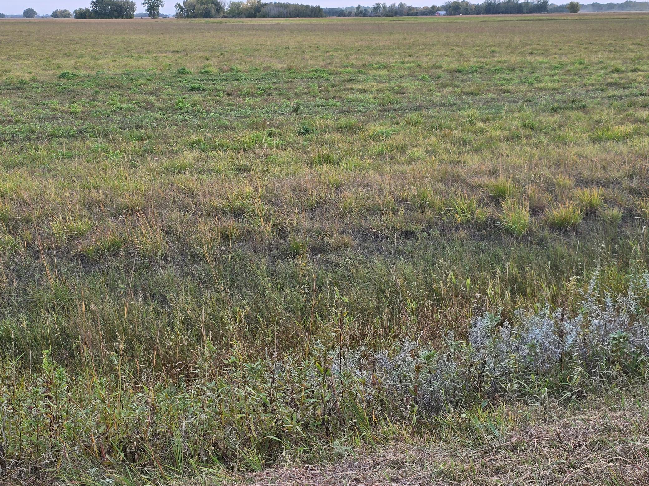 Tbd County Highway 32 Property Photo 9