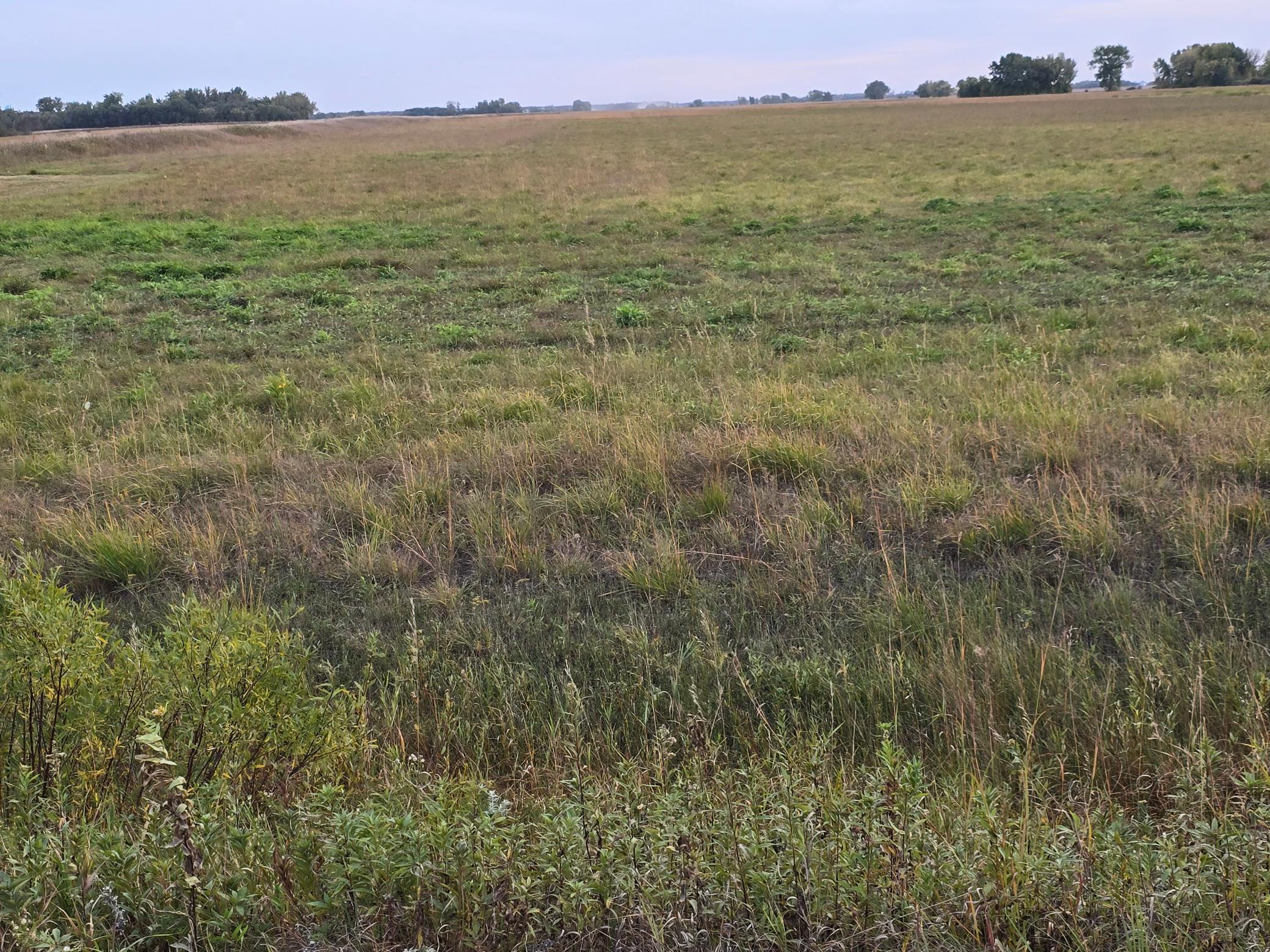 Tbd County Highway 32 Property Photo 11