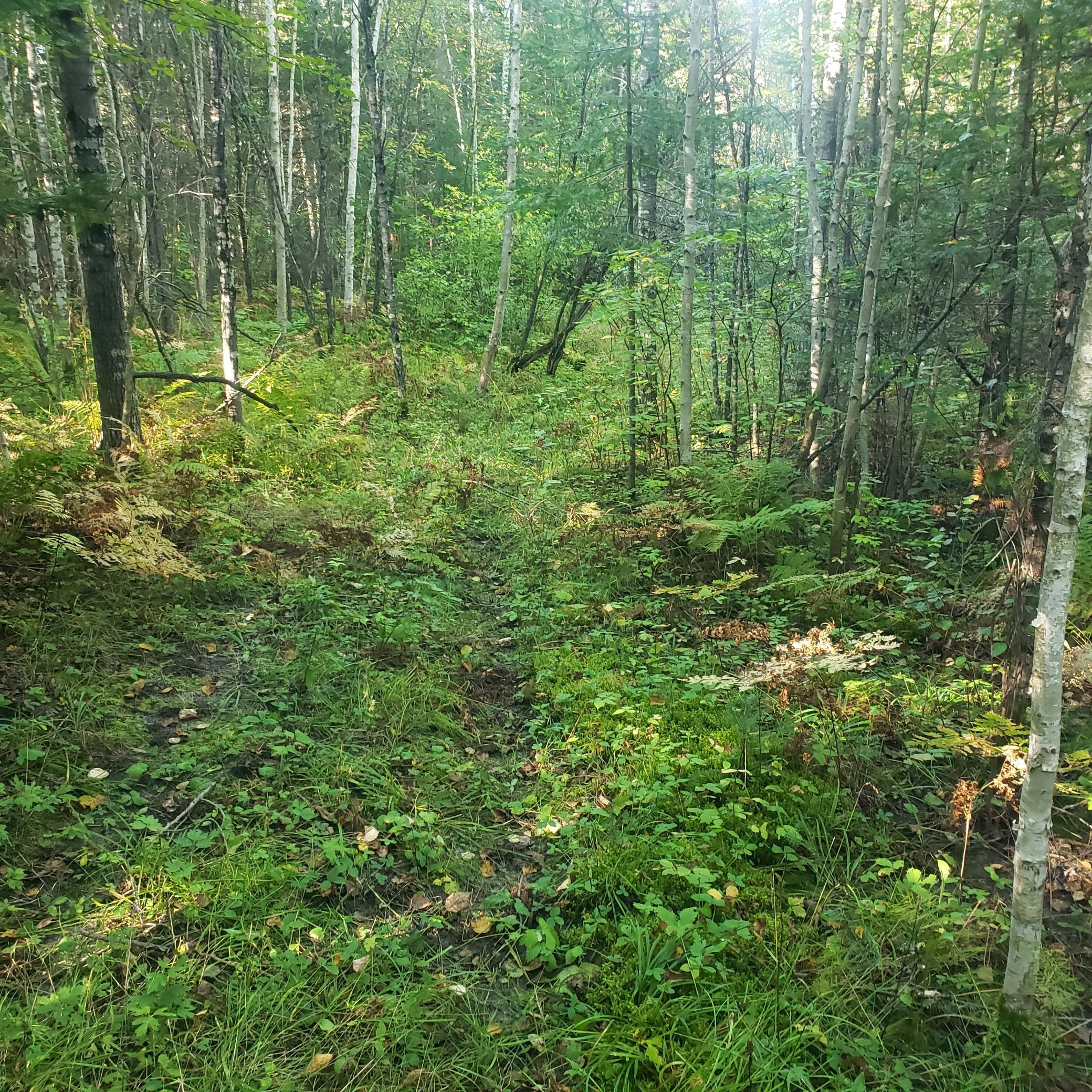 Tbd Gamma Rd Property Photo 3