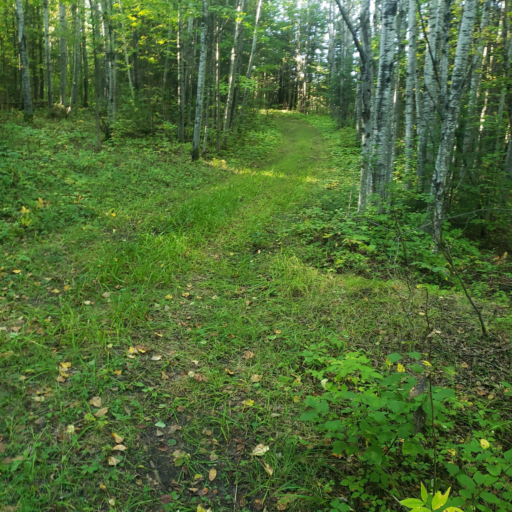 Tbd Gamma Rd Property Photo 5