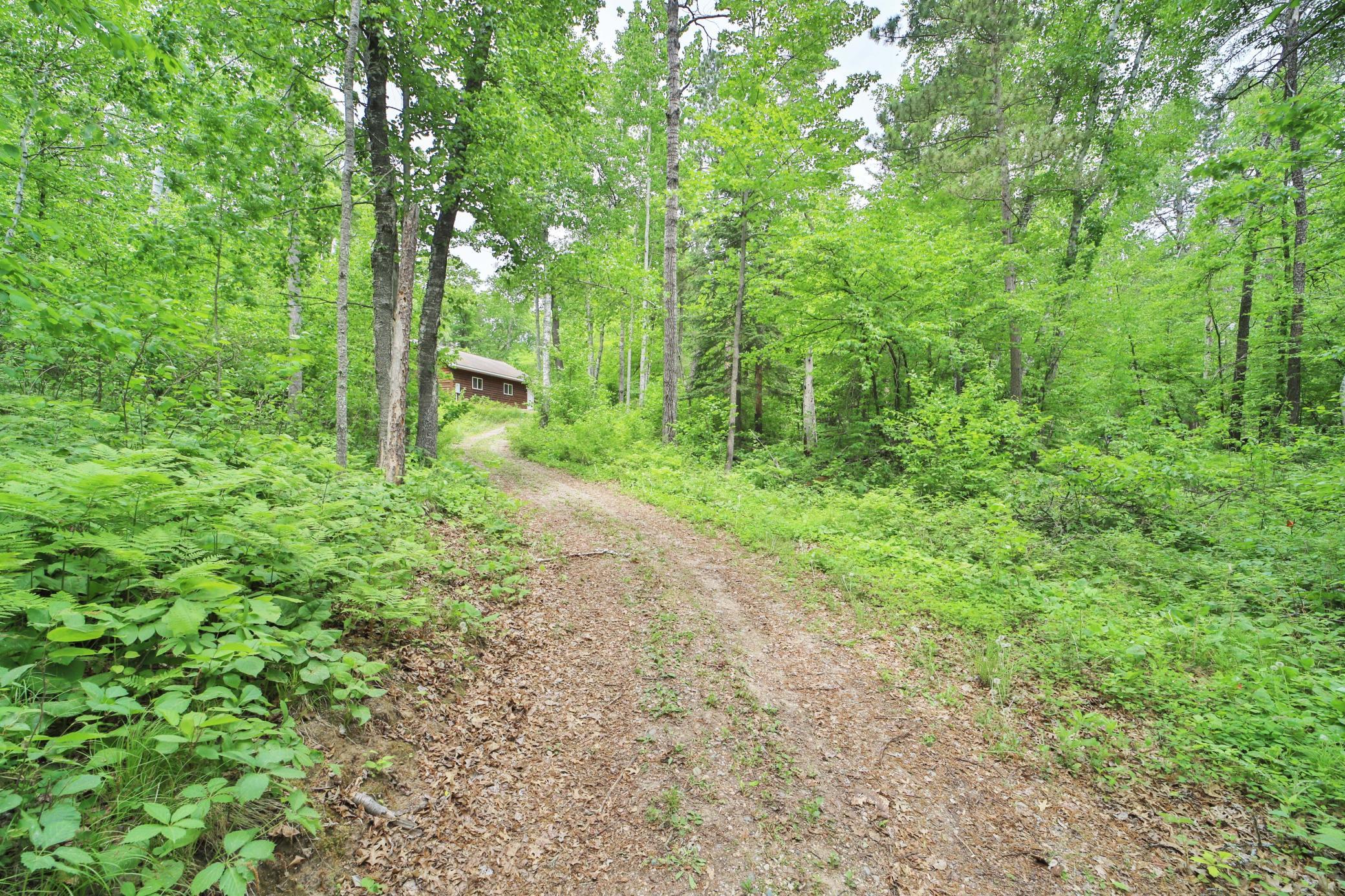 5969 Jack Pine Road Property Photo 25