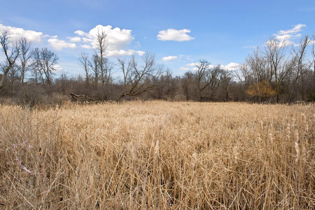 Tbd Lake Blvd Property Photo 29