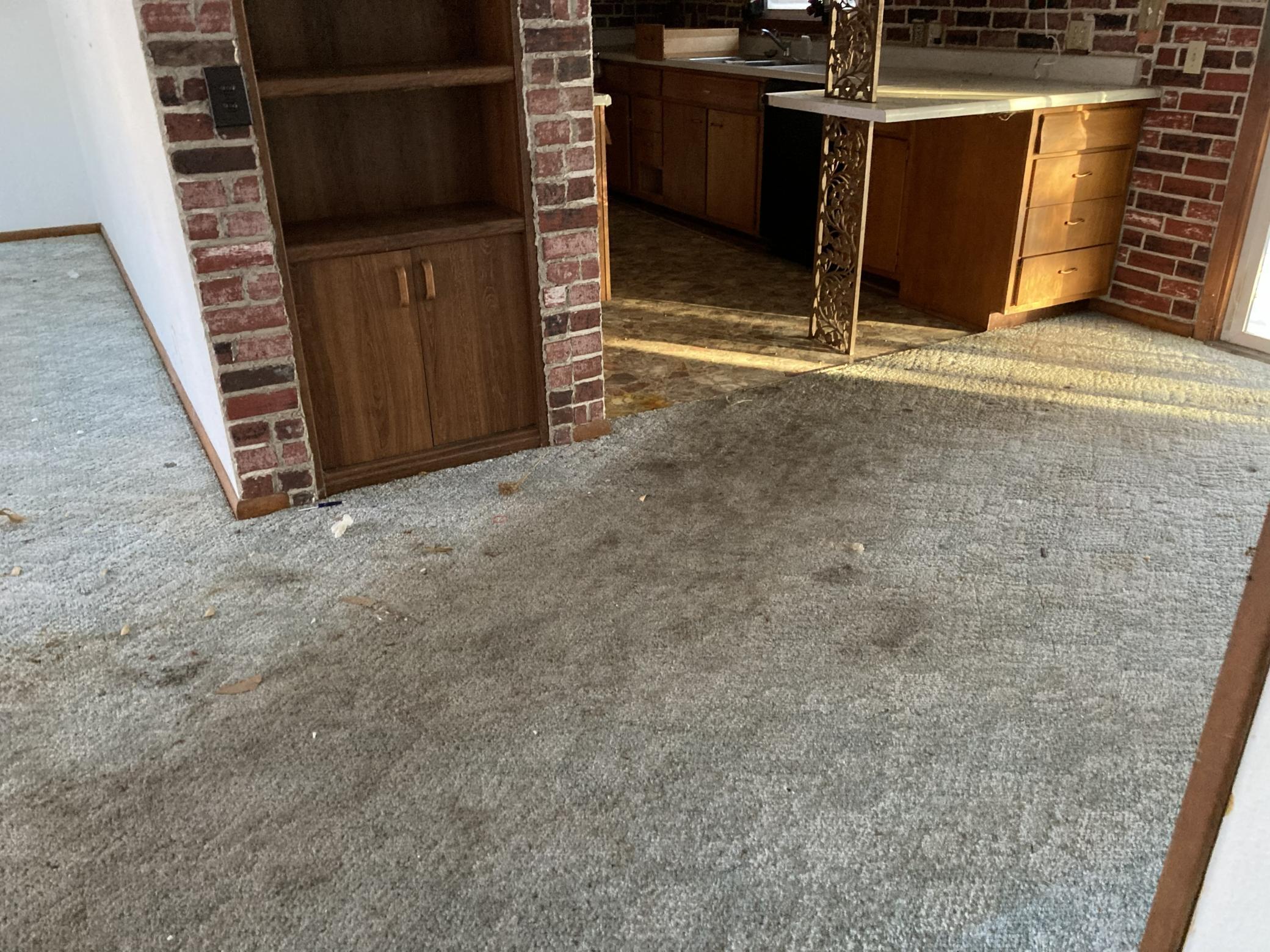 113 Blace Avenue Property Photo 10