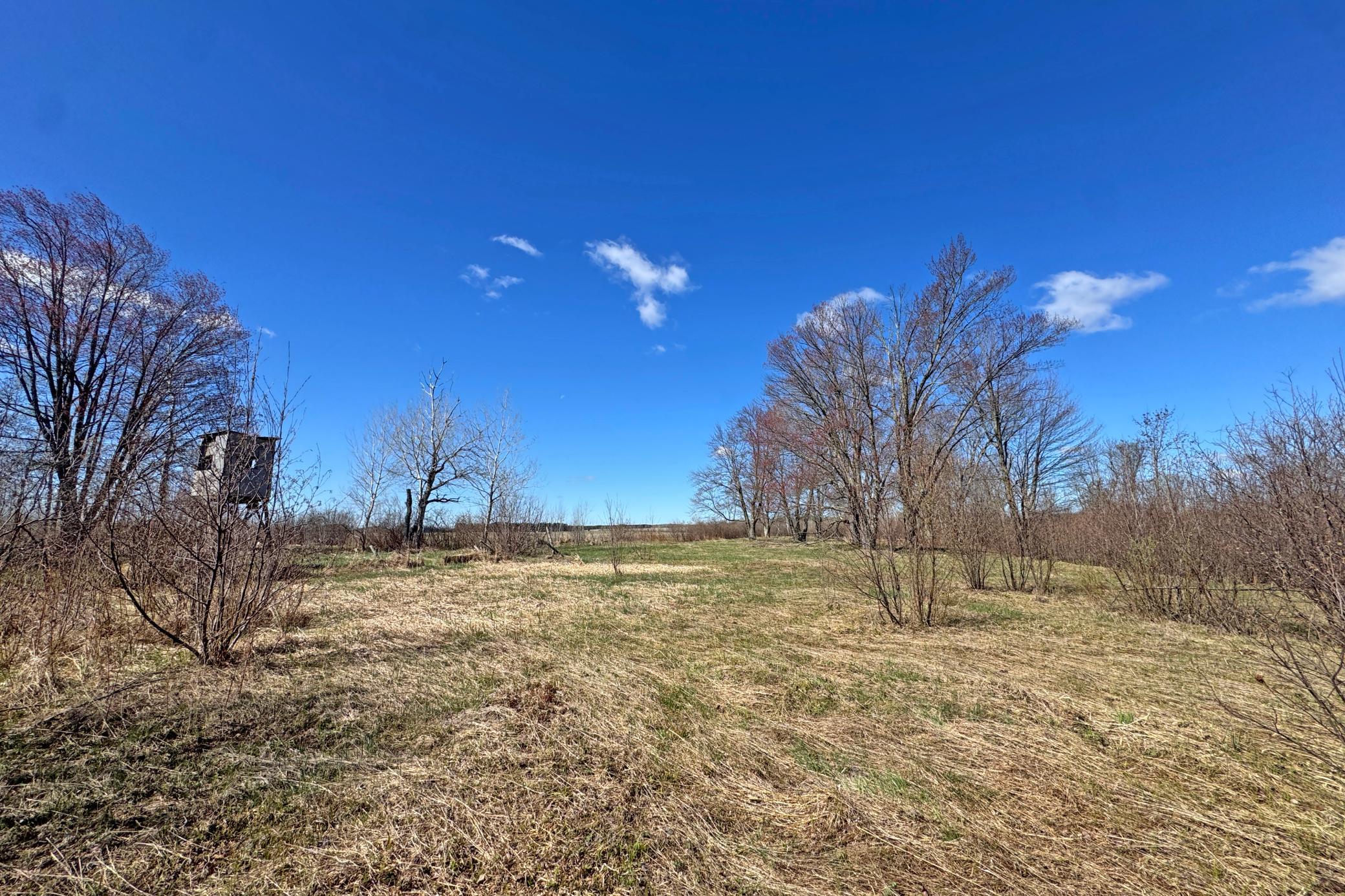 0000 Fairview Road Property Photo 12