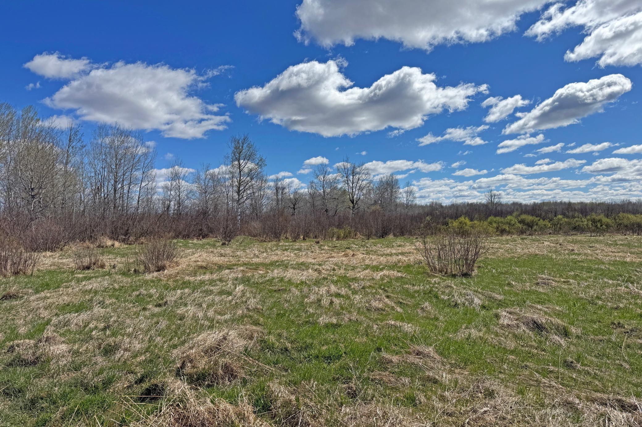 0000 Fairview Road Property Photo 16