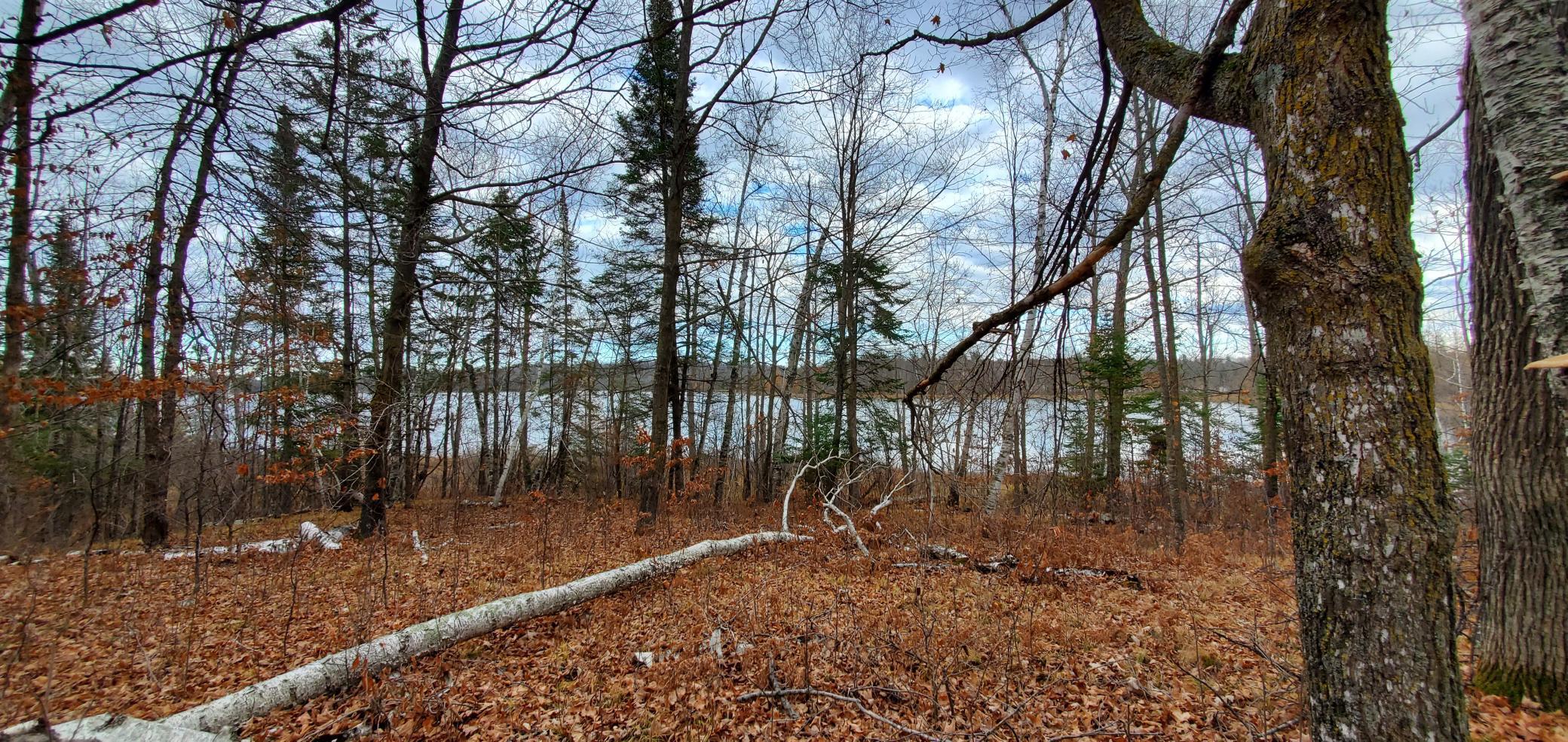 Tbd - Parcel A Ticonderoga Trail Property Photo 4