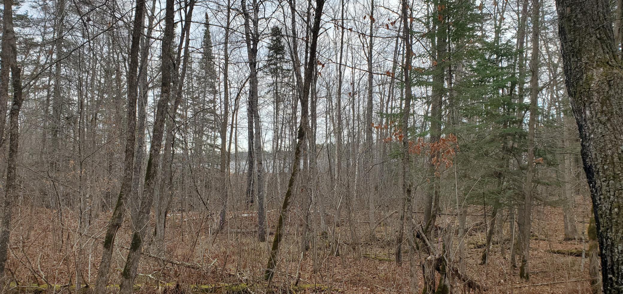 Tbd - Parcel A Ticonderoga Trail Property Photo 5