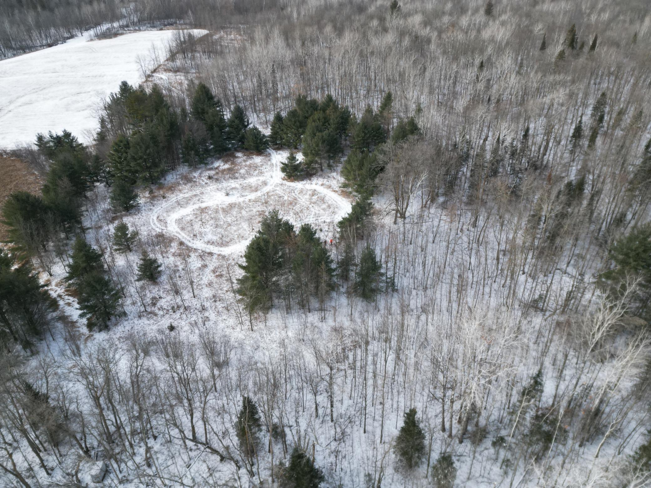 Tbd - Parcel A Ticonderoga Trail Property Photo 8