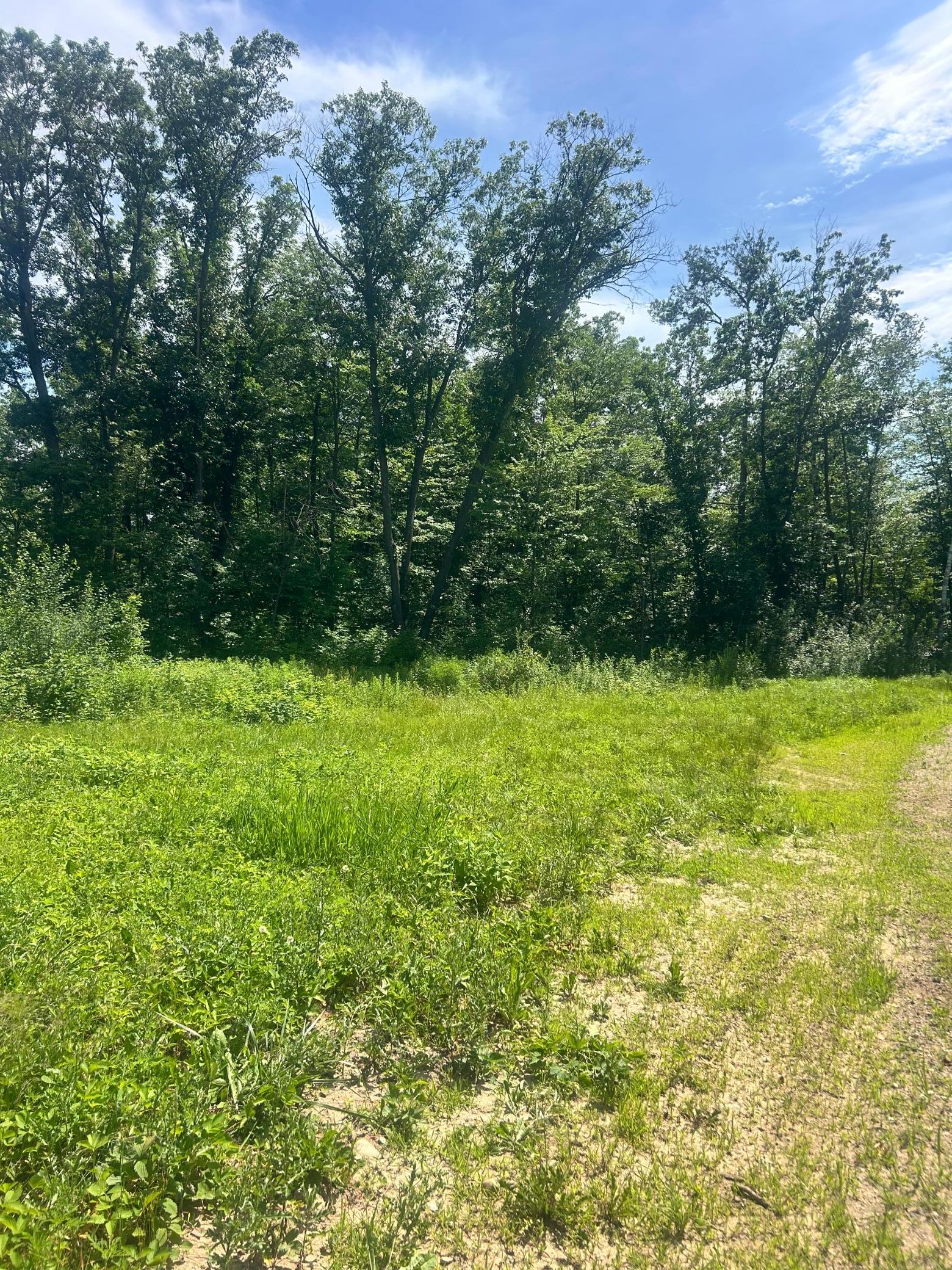 27536 Norway Trail Property Photo 1