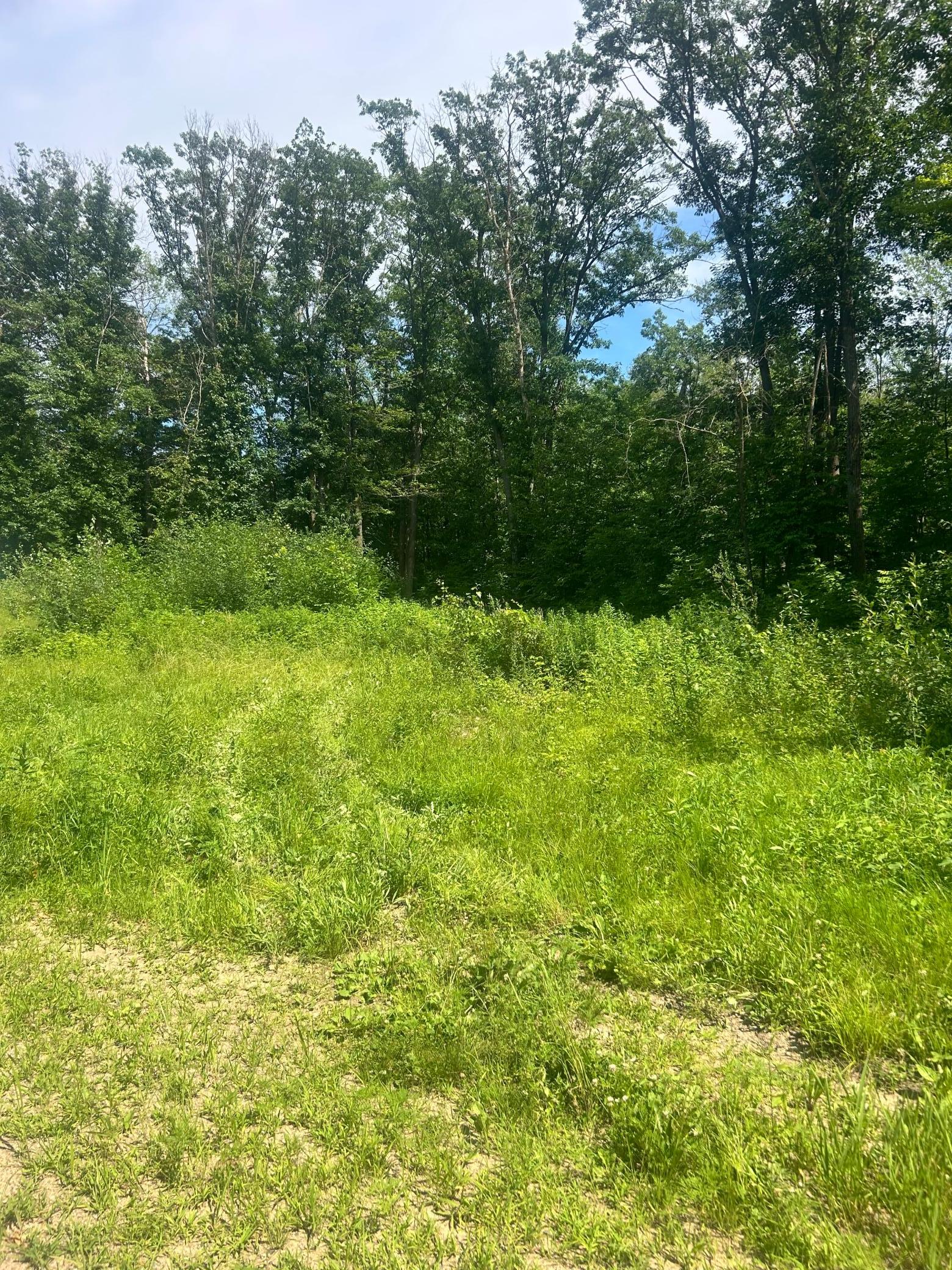27536 Norway Trail Property Photo 3