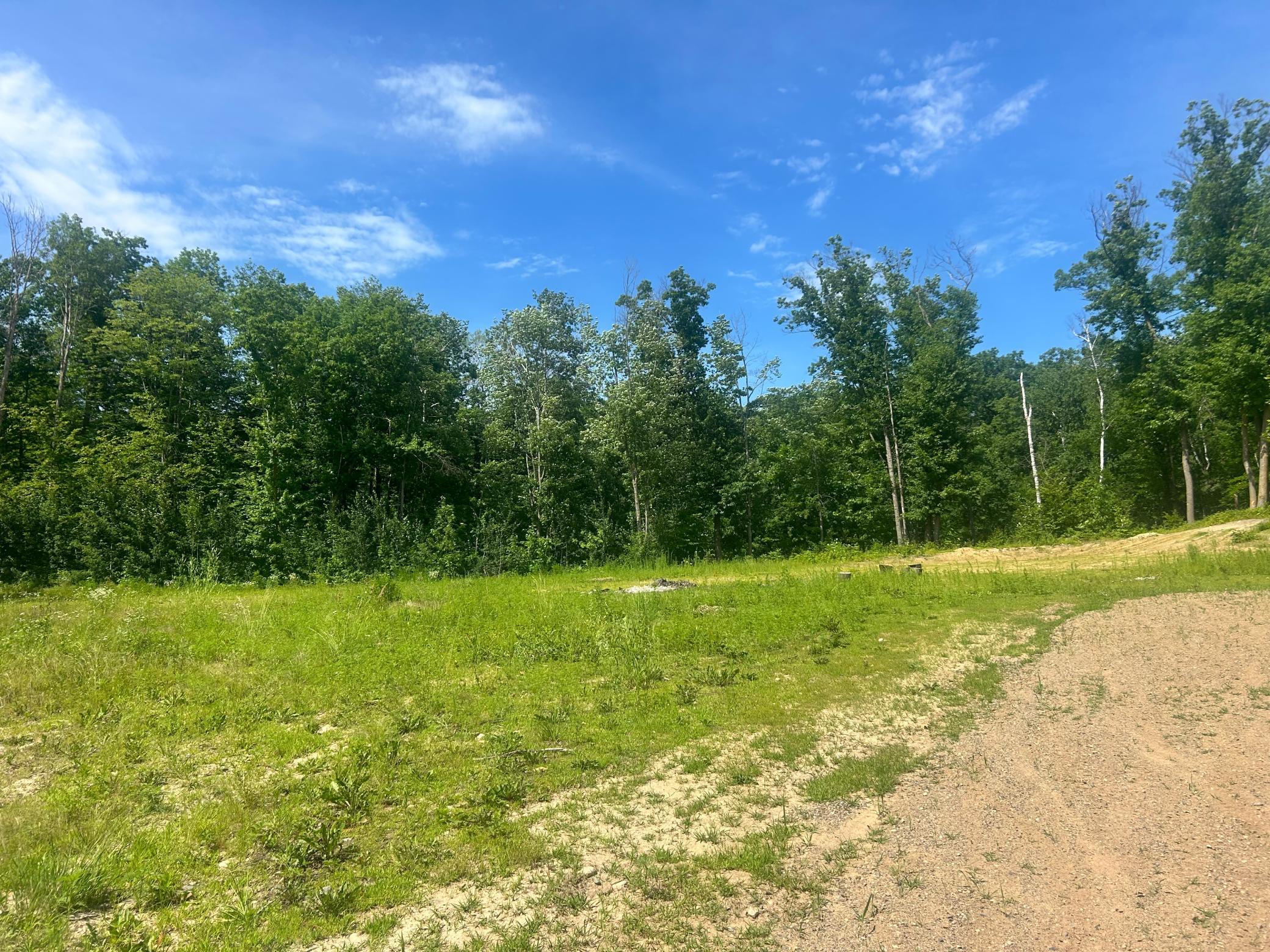 27536 Norway Trail Property Photo 5