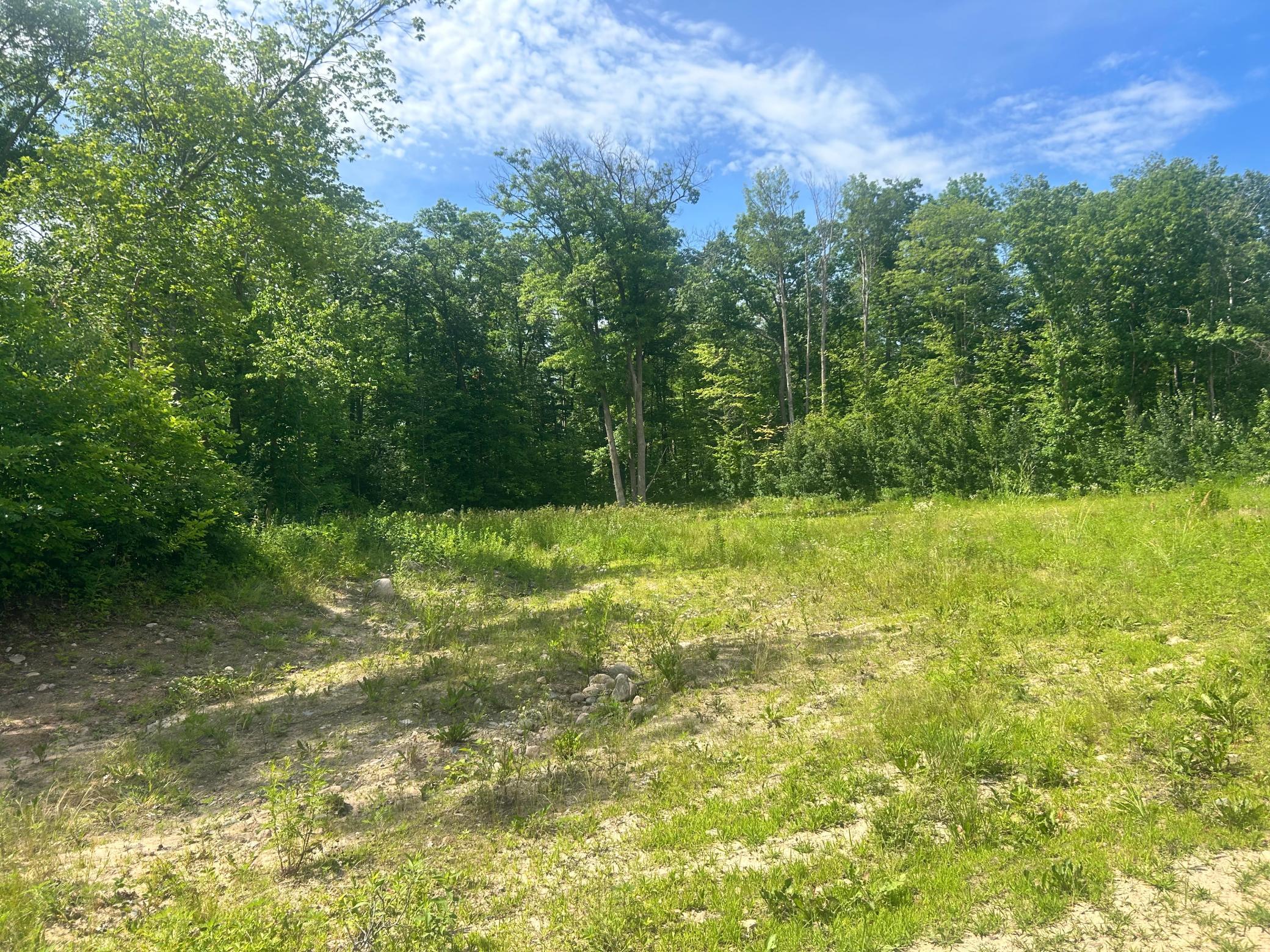 27536 Norway Trail Property Photo 6