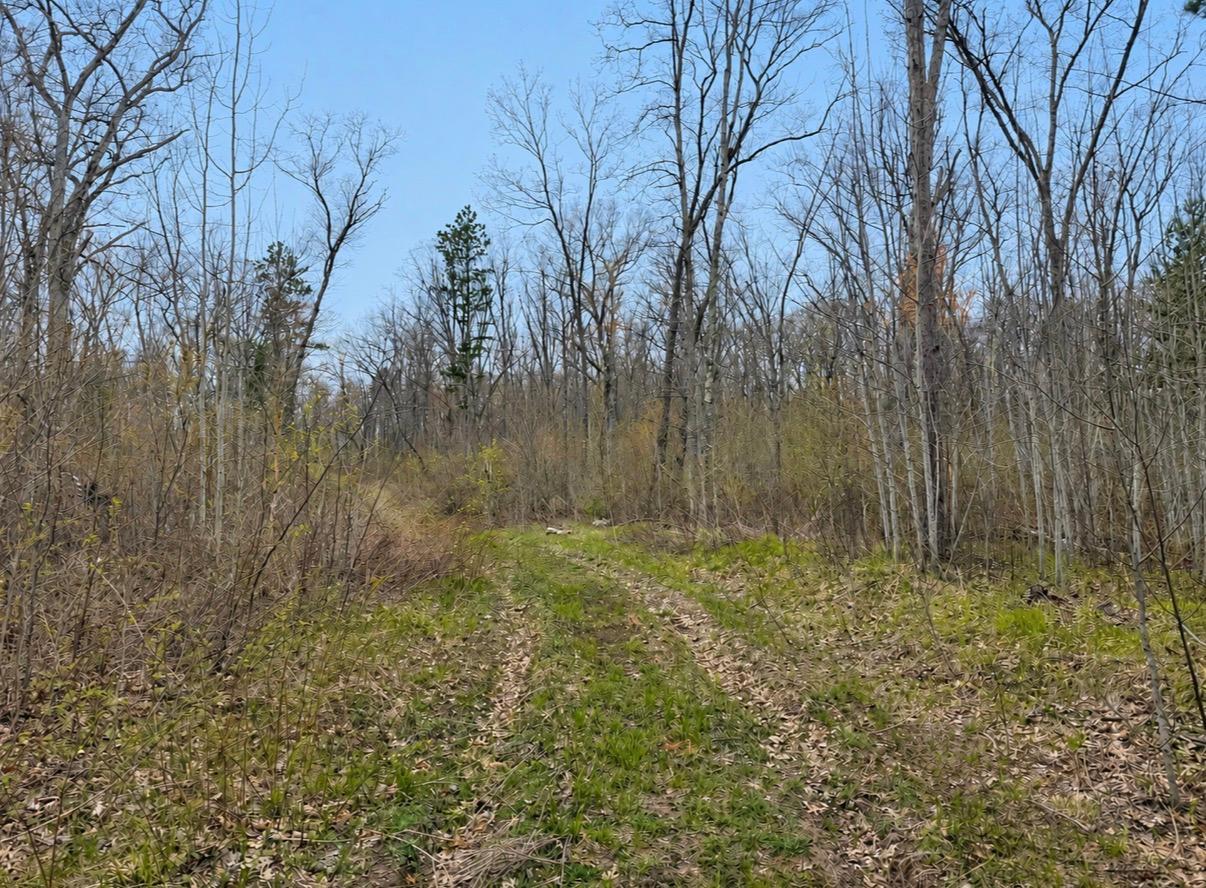 Tbd Foss Lane Property Photo 1