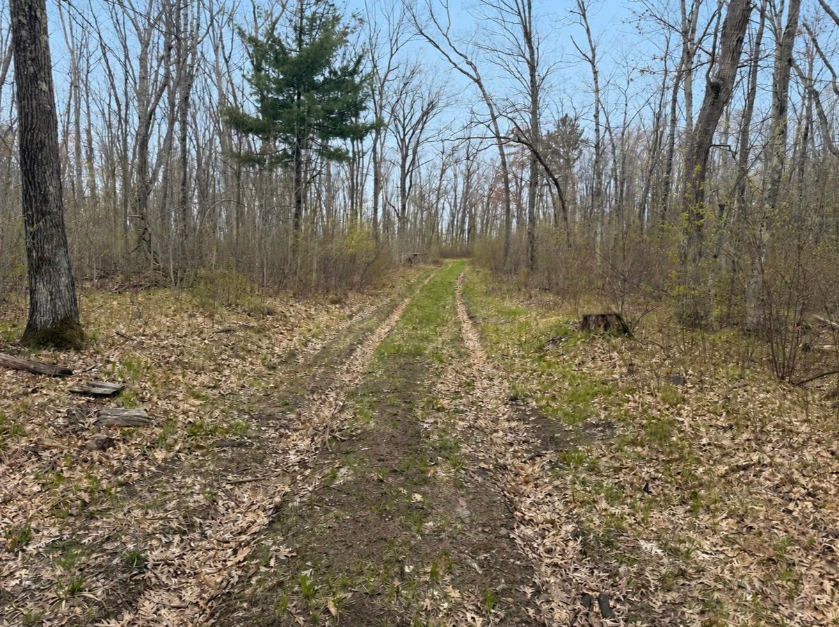 Tbd Foss Lane Property Photo 2