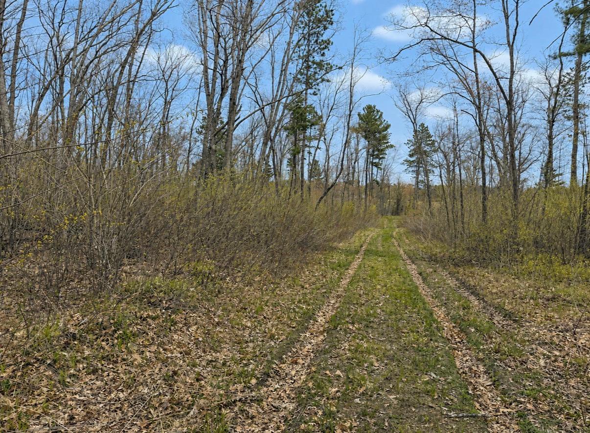 Tbd Foss Lane Property Photo 4