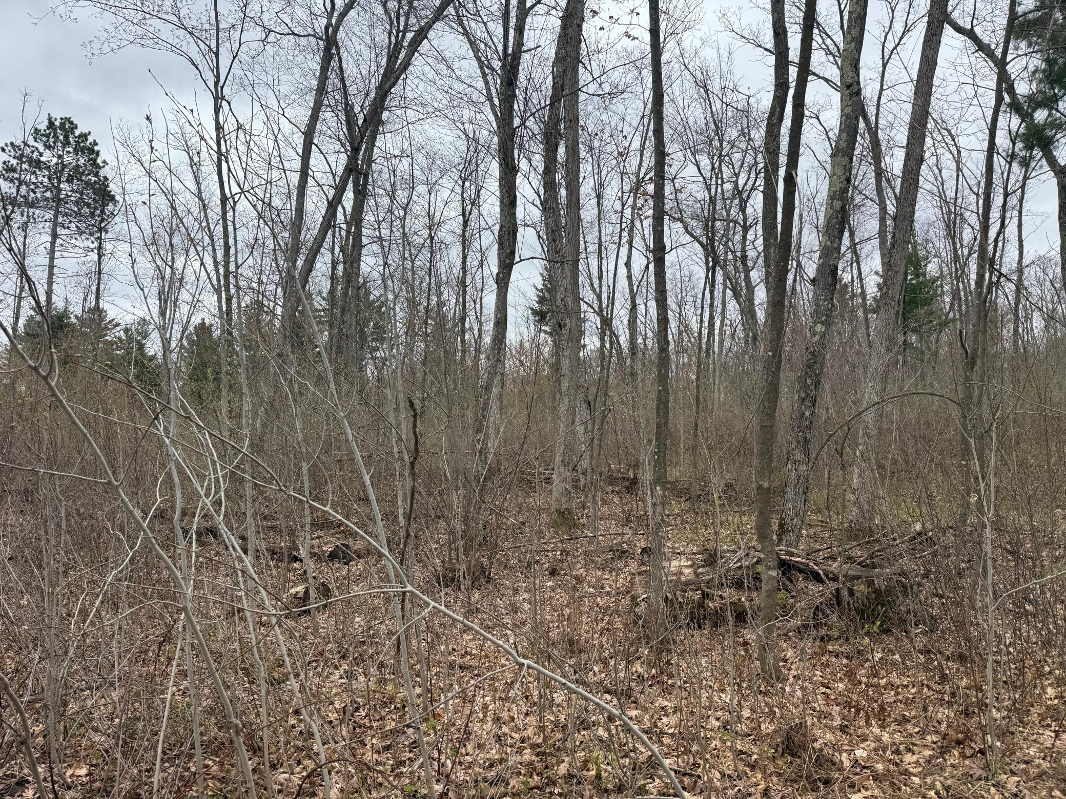 Tbd Foss Lane Property Photo 6