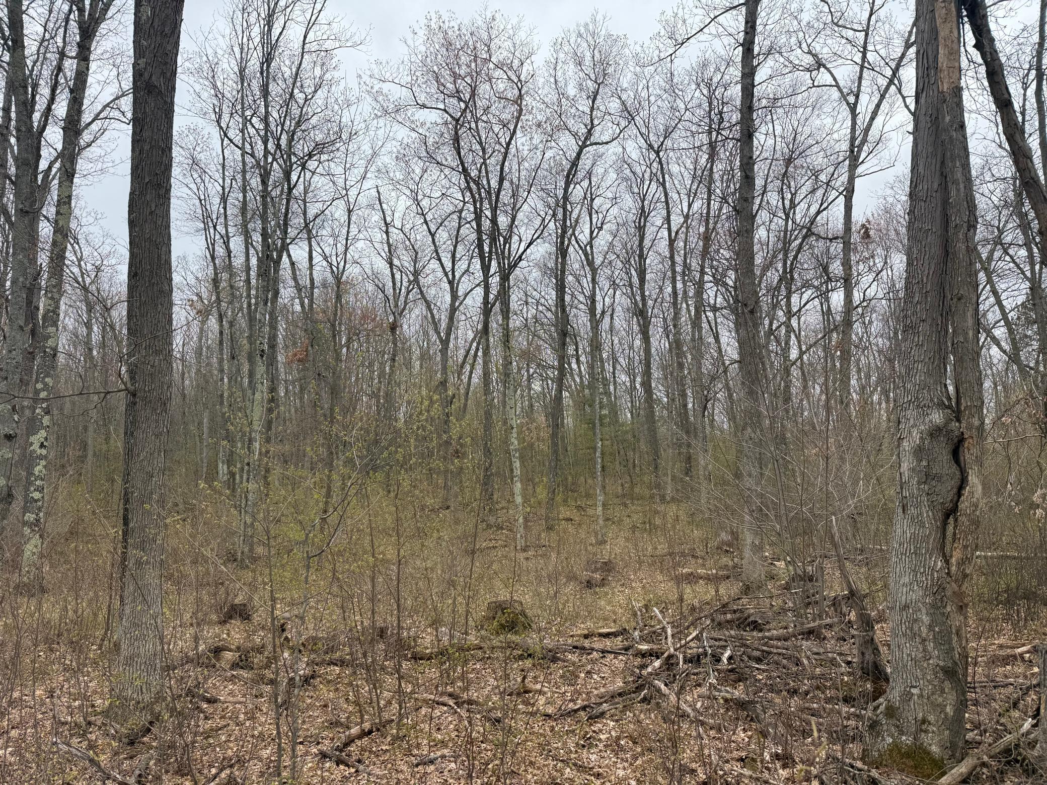 Tbd Foss Lane Property Photo 7