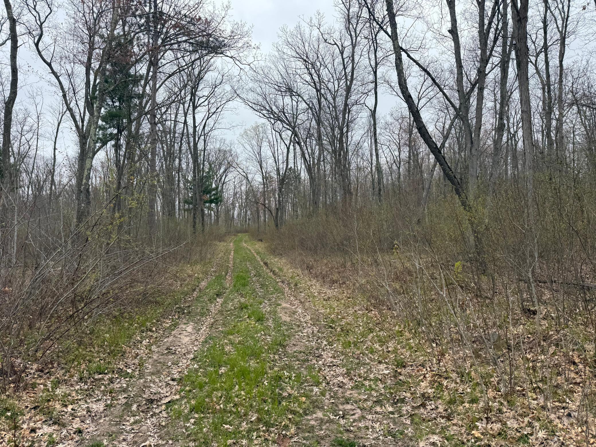 Tbd Foss Lane Property Photo 8