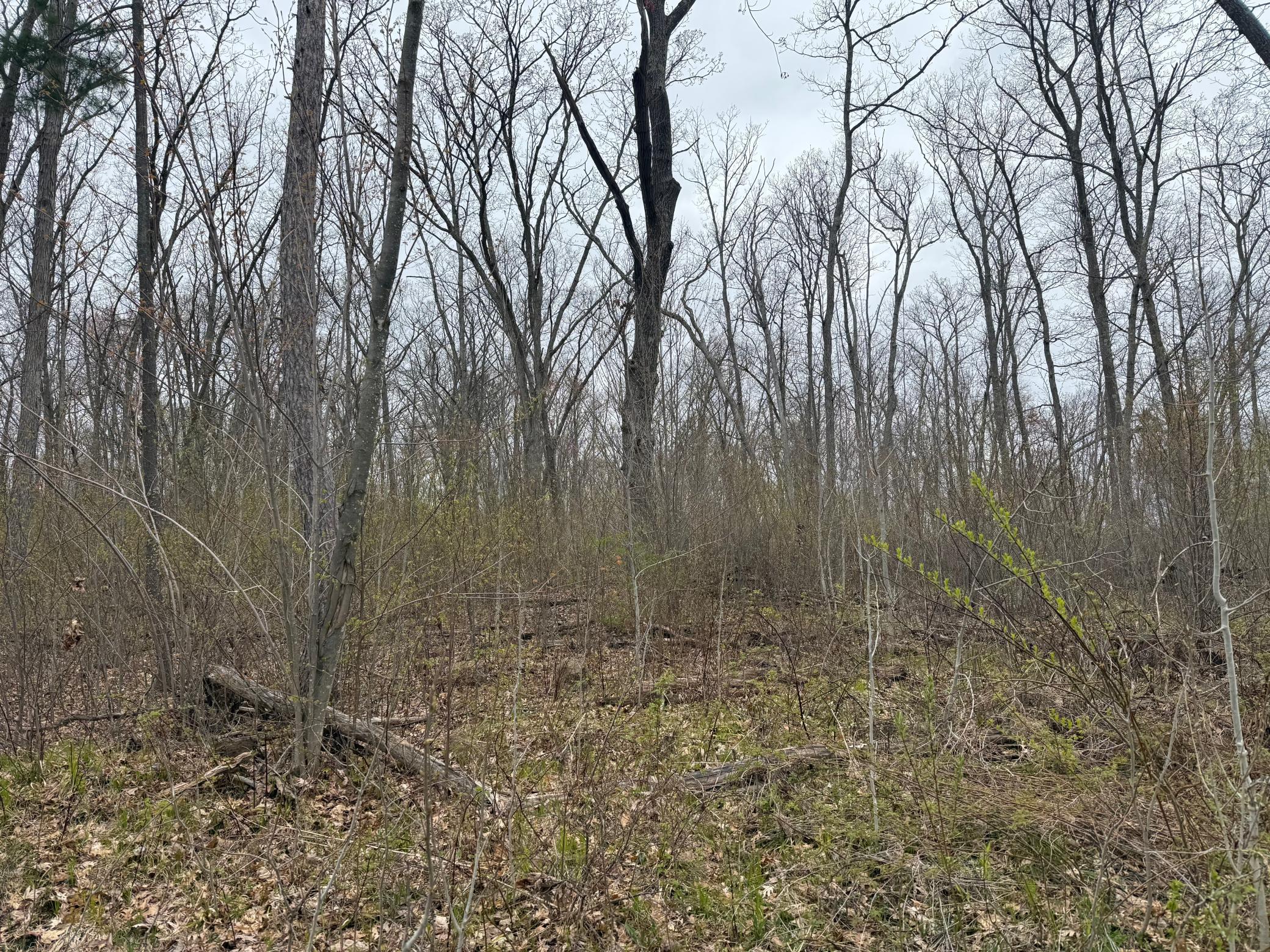 Tbd Foss Lane Property Photo 9