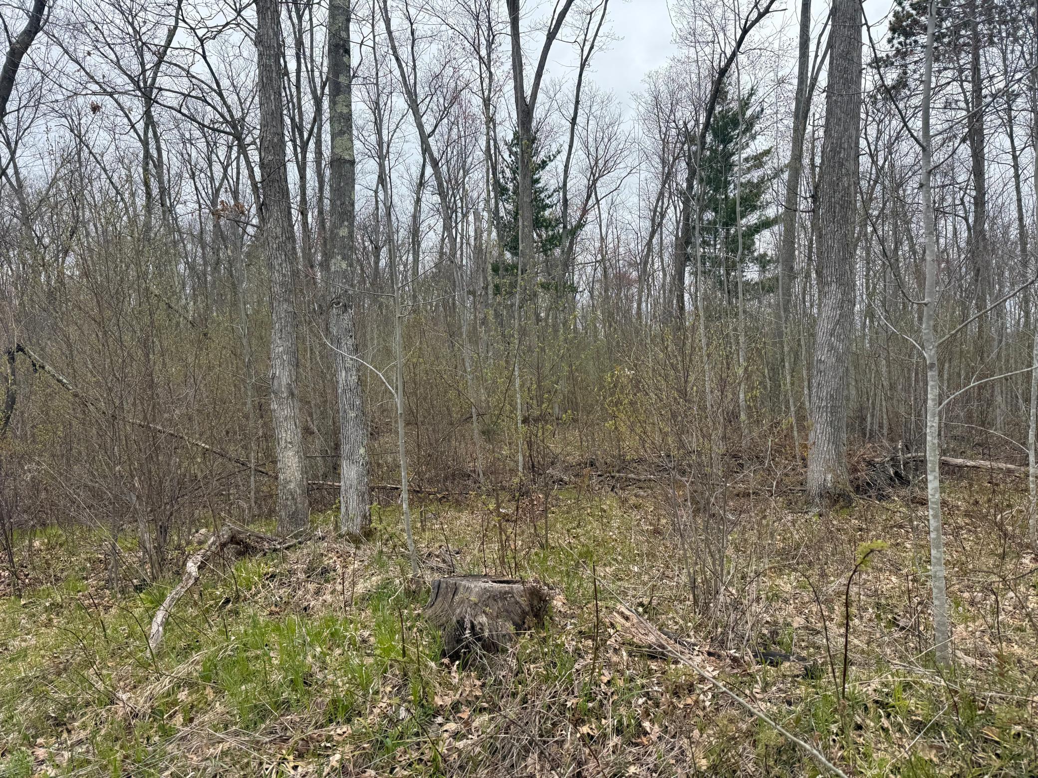 Tbd Foss Lane Property Photo 10
