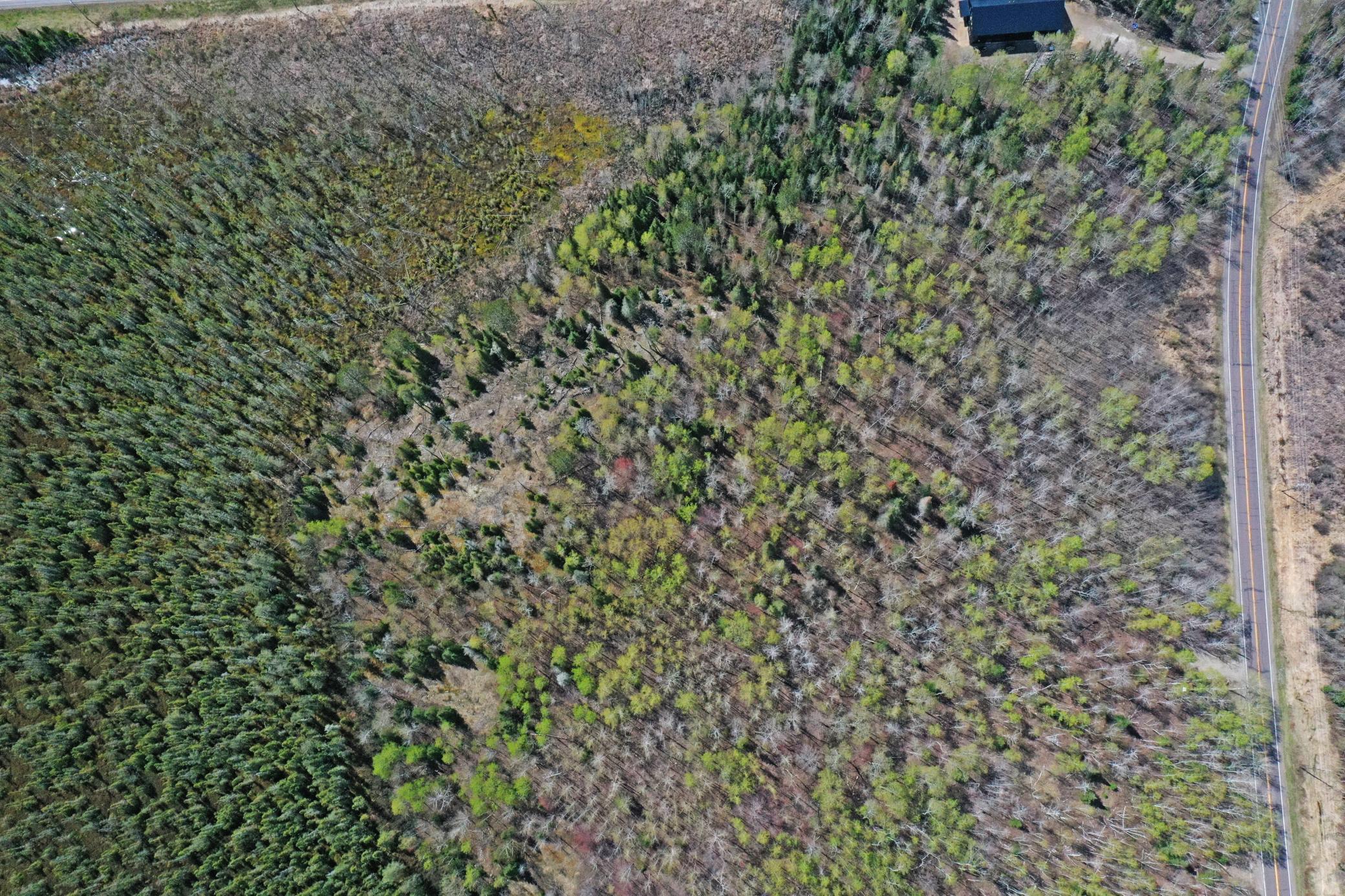 0000 Fectos Road Property Photo 20