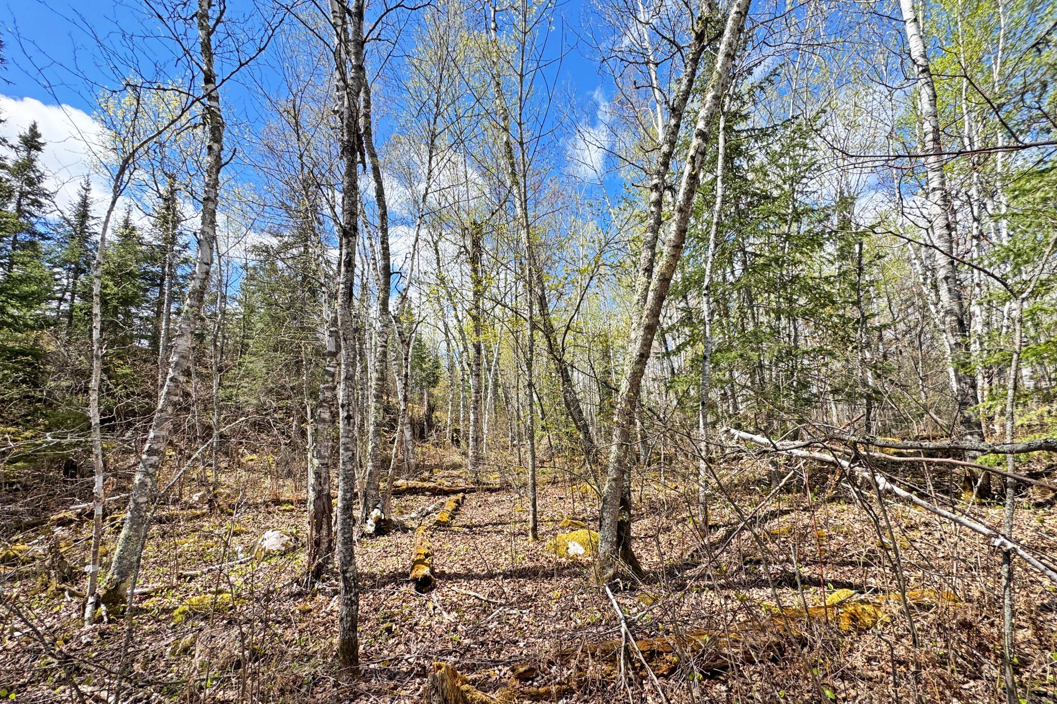 0000 Fectos Road Property Photo 35