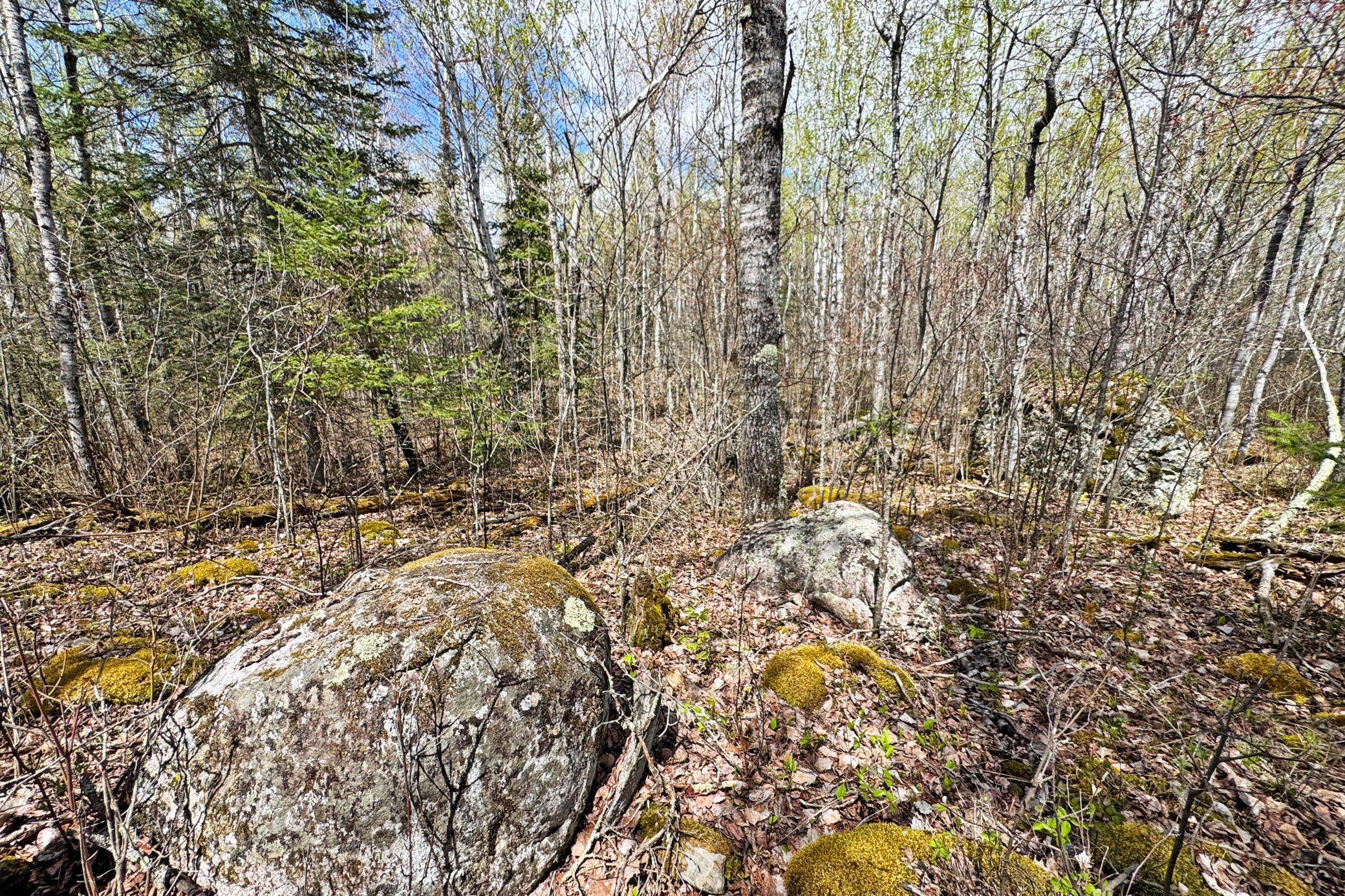 0000 Fectos Road Property Photo 48