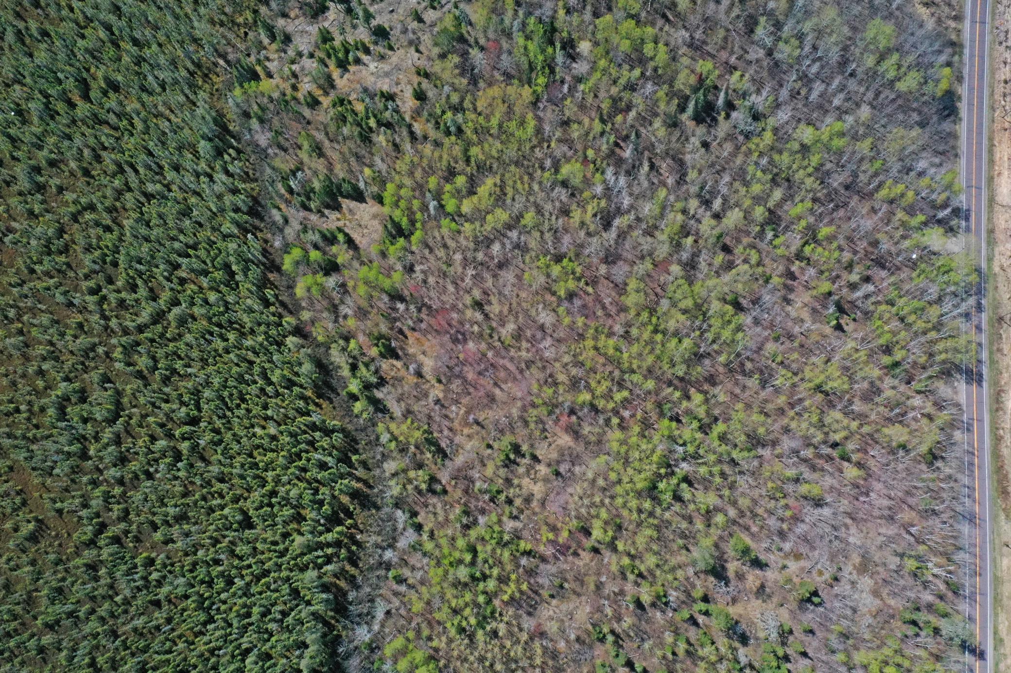 0012 Fectos Road Property Photo 24
