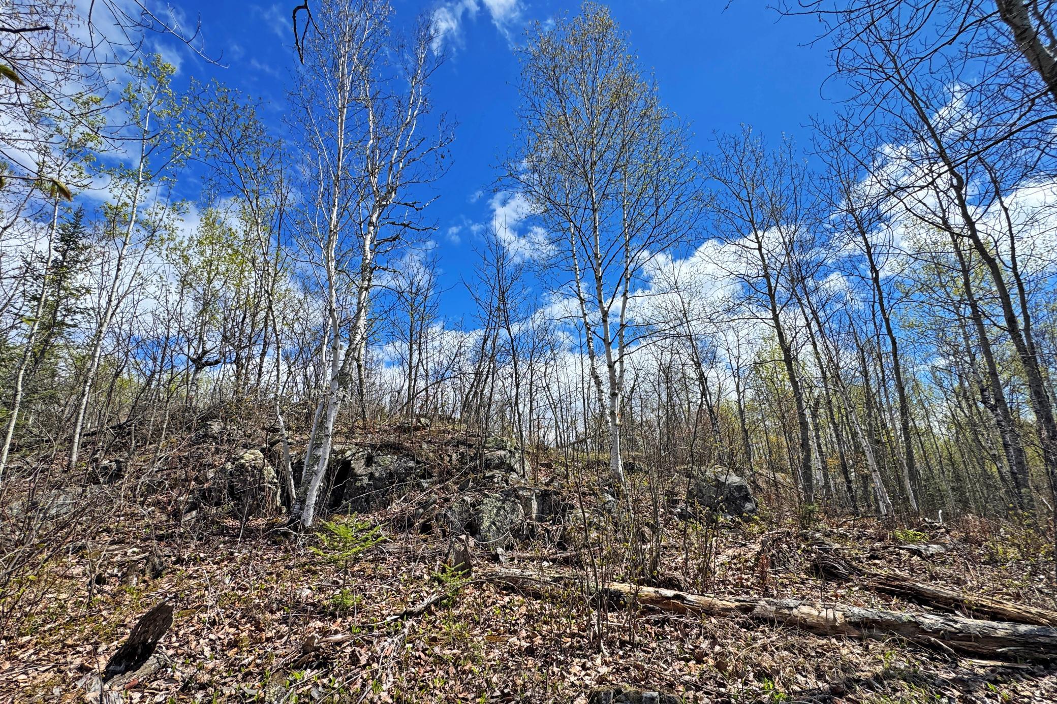 0012 Fectos Road Property Photo 37