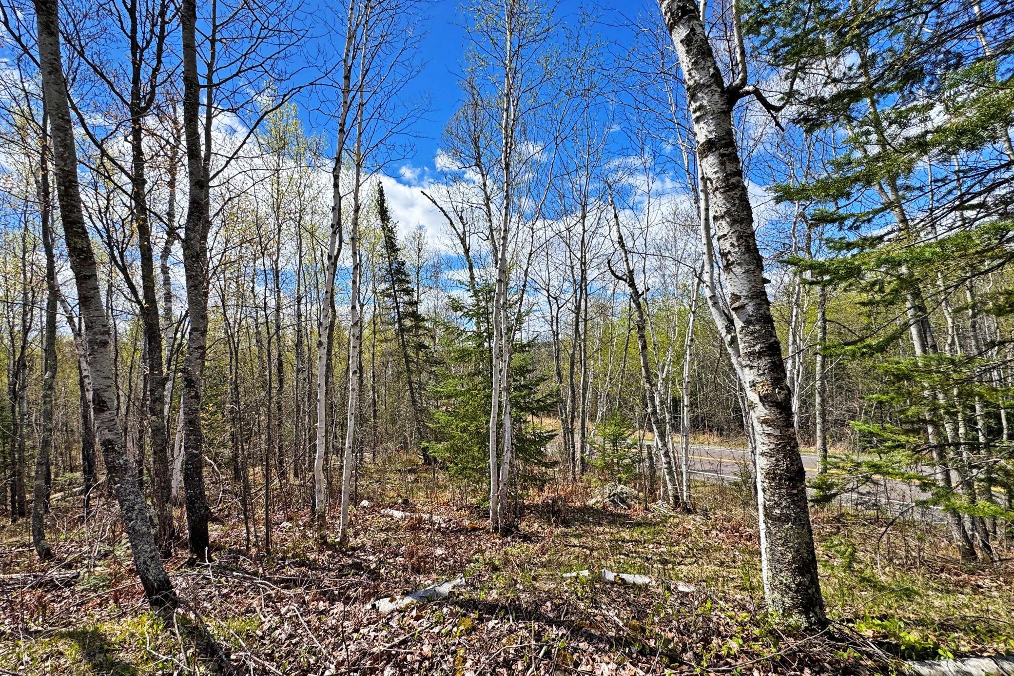 0012 Fectos Road Property Photo 38