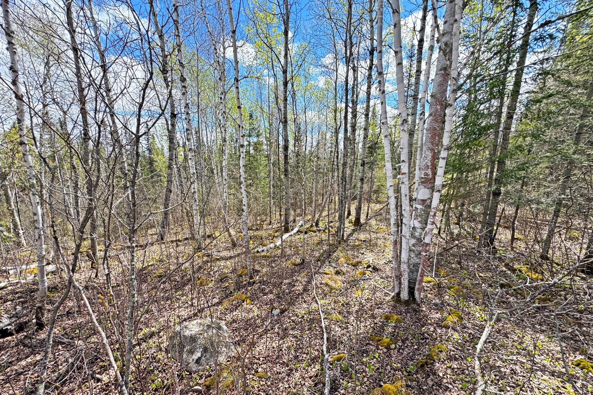 0012 Fectos Road Property Photo 46
