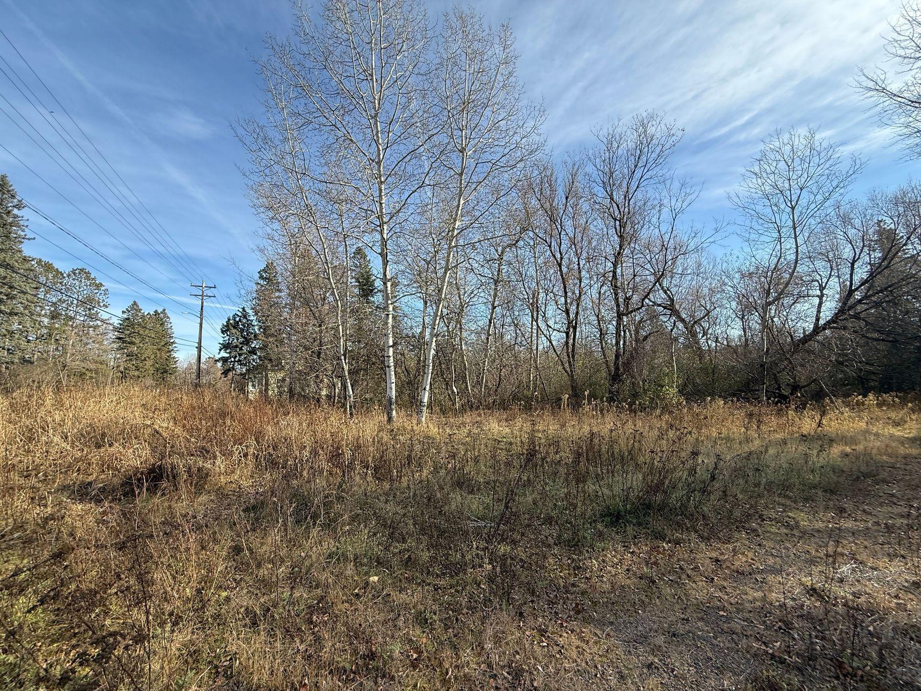 2100 W Arrowhead Road Property Photo 3