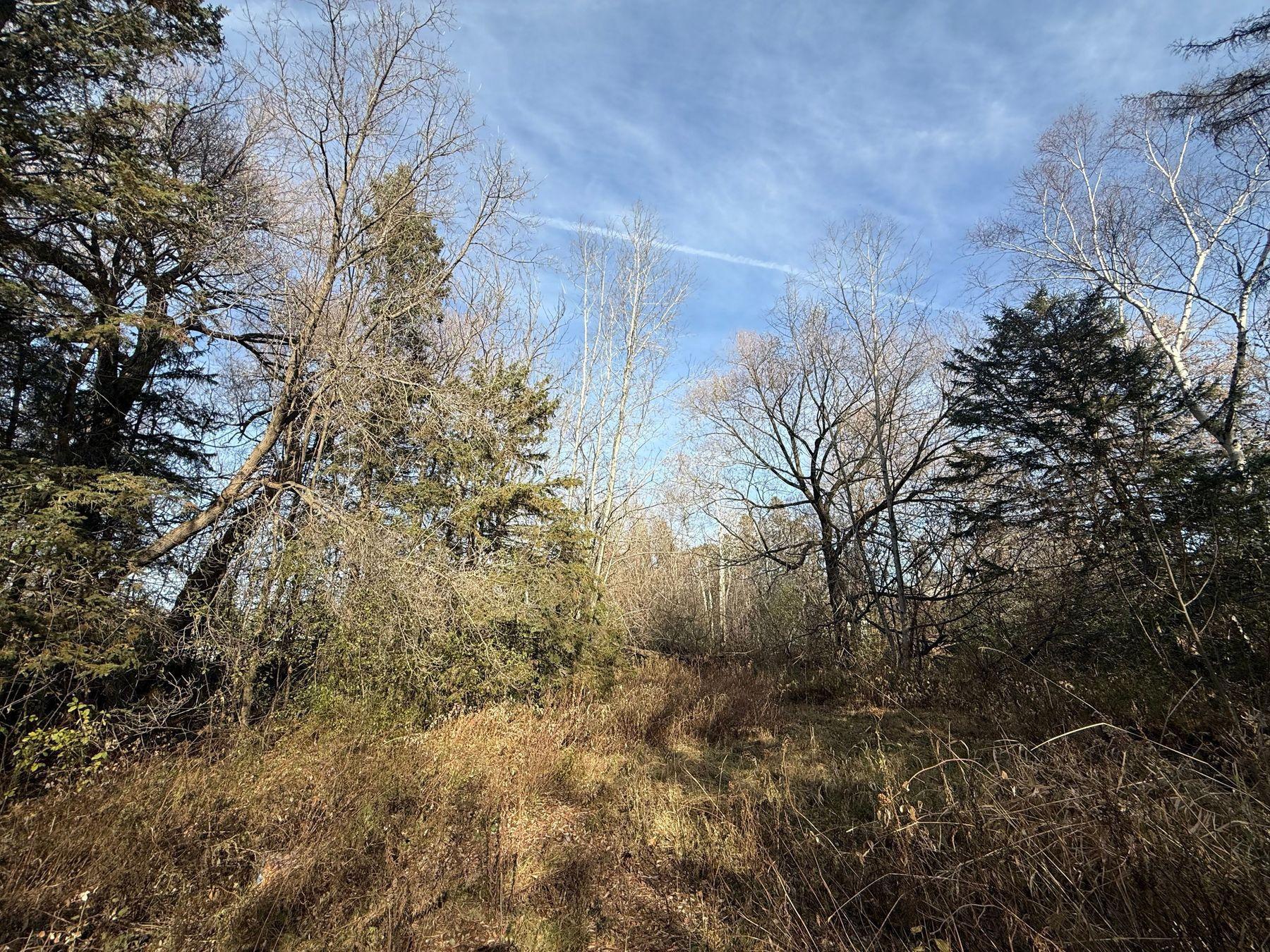2100 W Arrowhead Road Property Photo 7