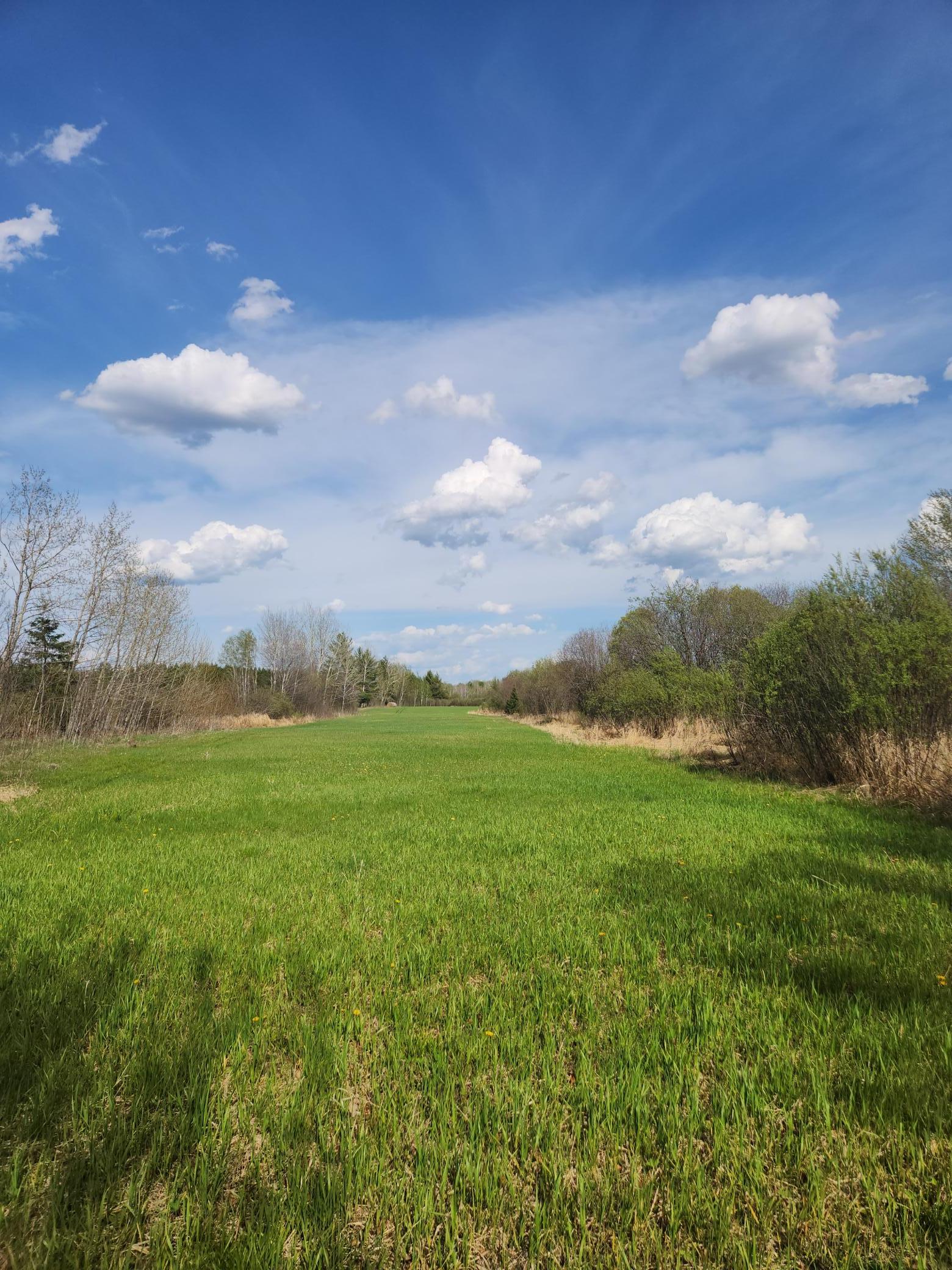9453 Alango Road Property Photo 8